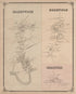 Greenwich, Deerfield, Heislerville from Combination Atlas Map of Cumberland County, New Jersey 1876 by Relic Map Company
