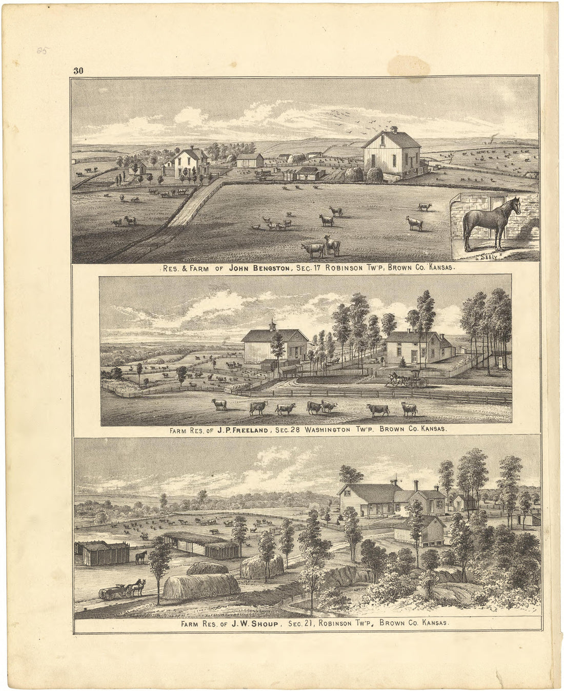 Illustrations from Meacham&