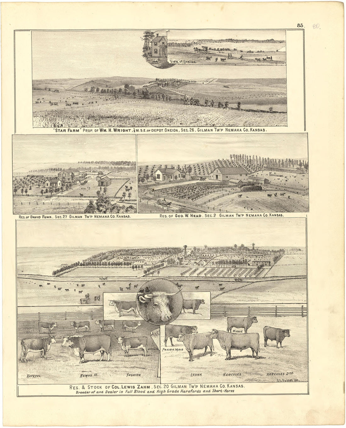 Illustrations from Meacham&