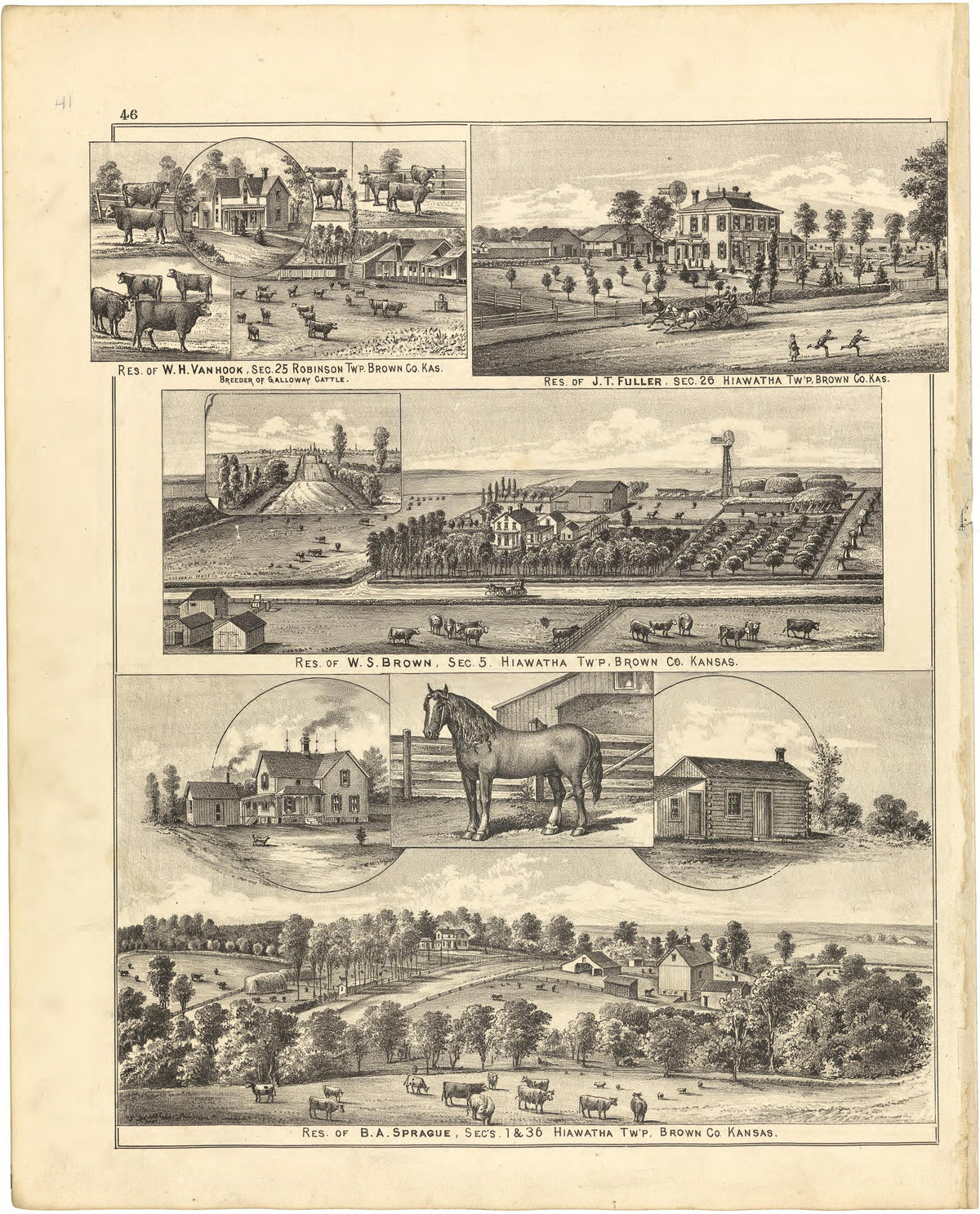 Illustrations from Meacham&