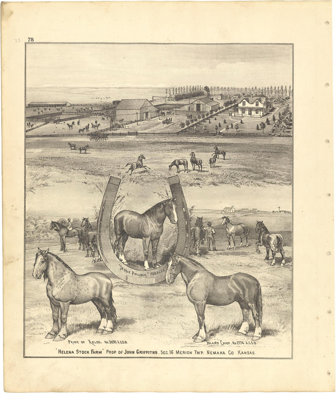 Helena Stock Farm from Meacham&