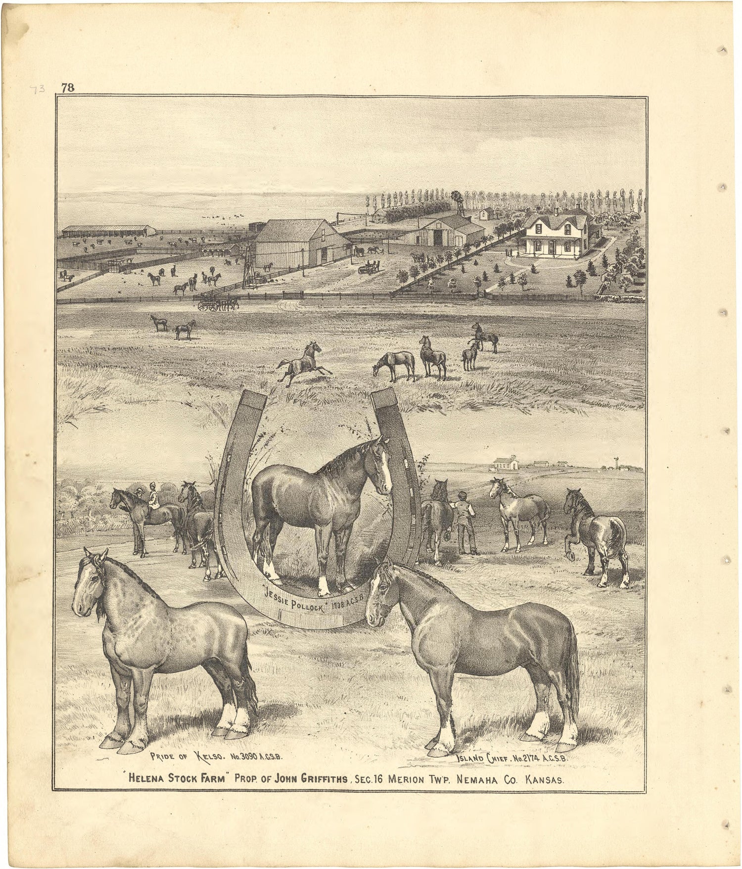Helena Stock Farm from Meacham&