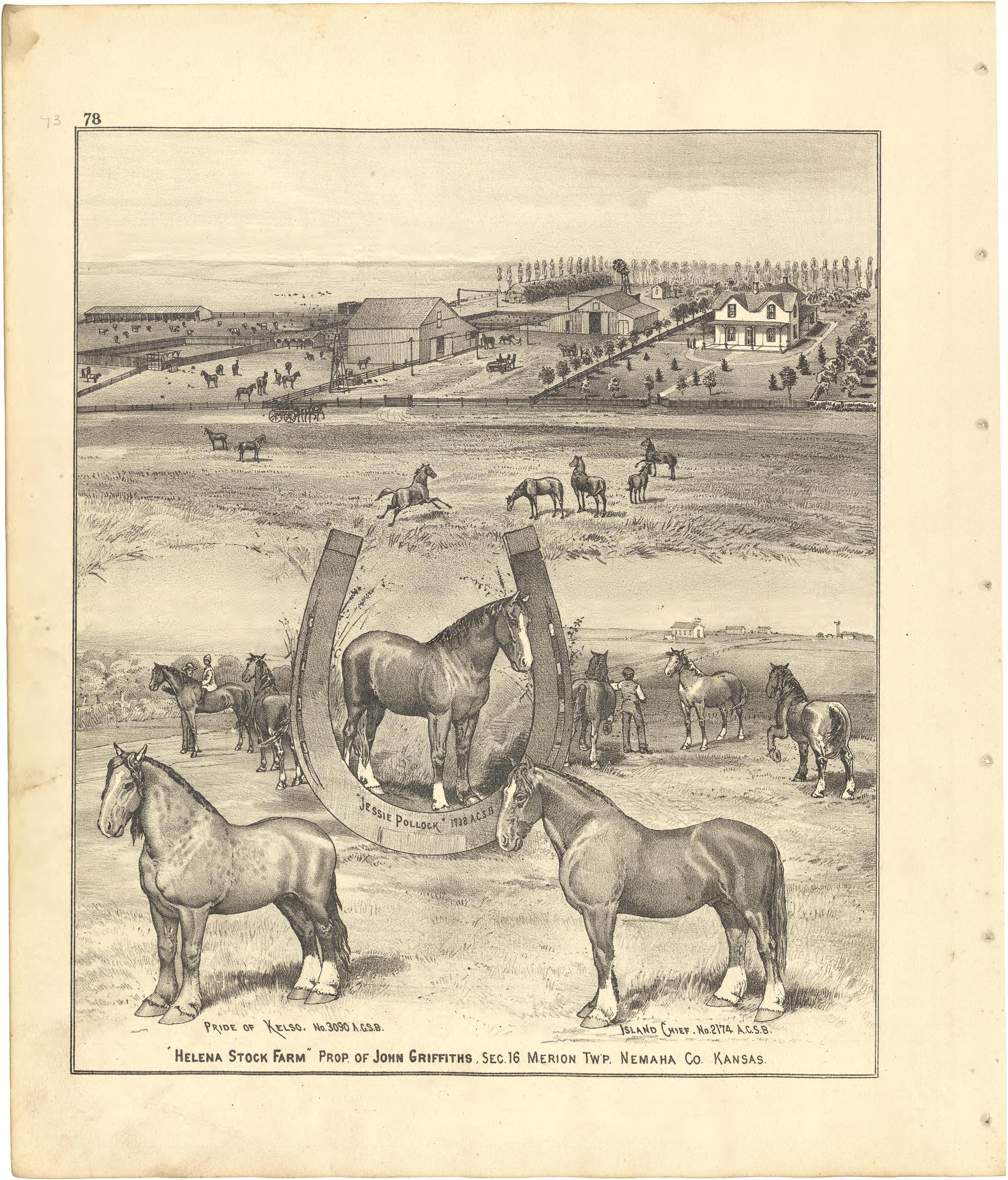 Helena Stock Farm from Meacham&