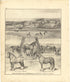 Helena Stock Farm from Meacham&
