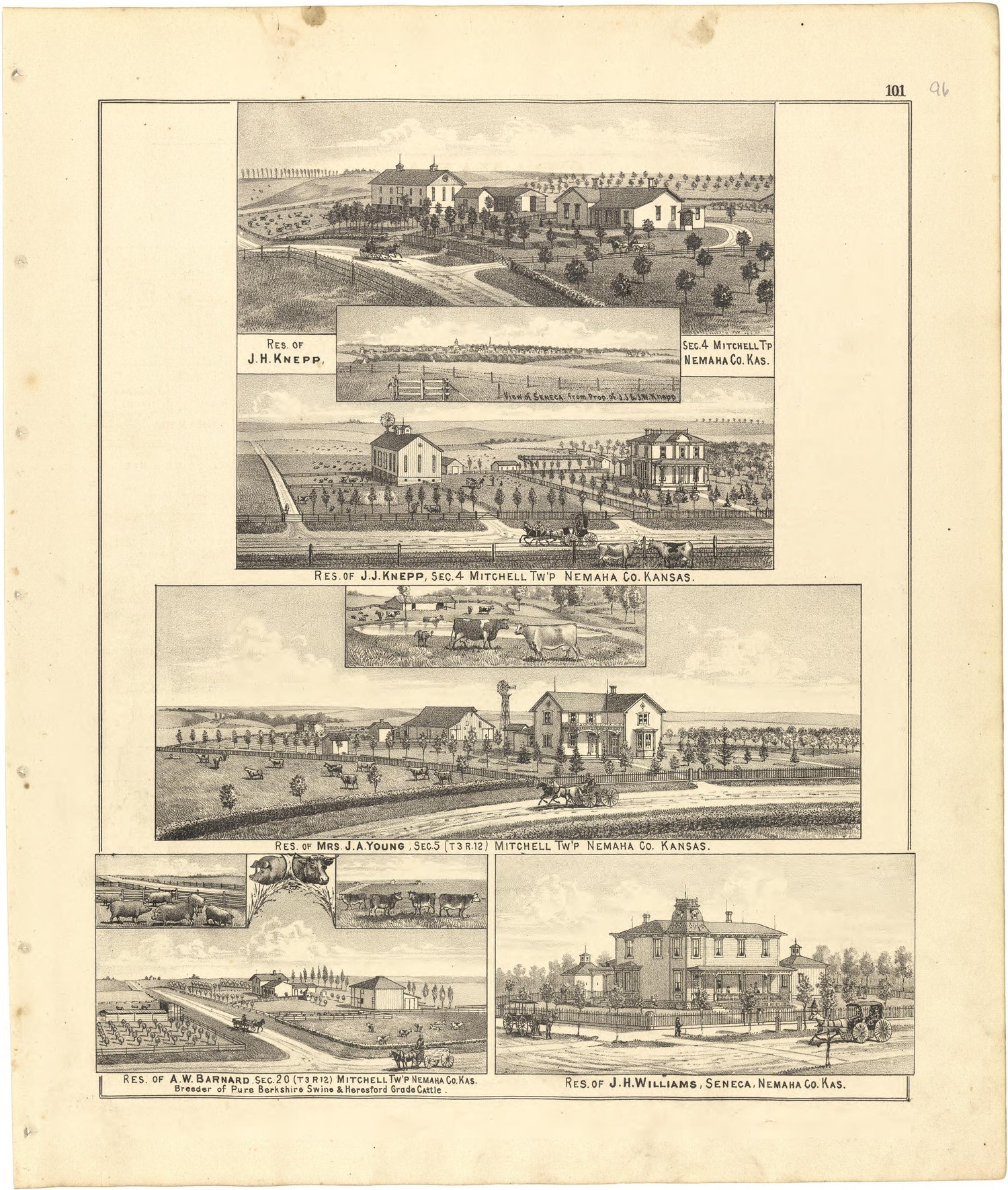 Illustrations from Meacham&