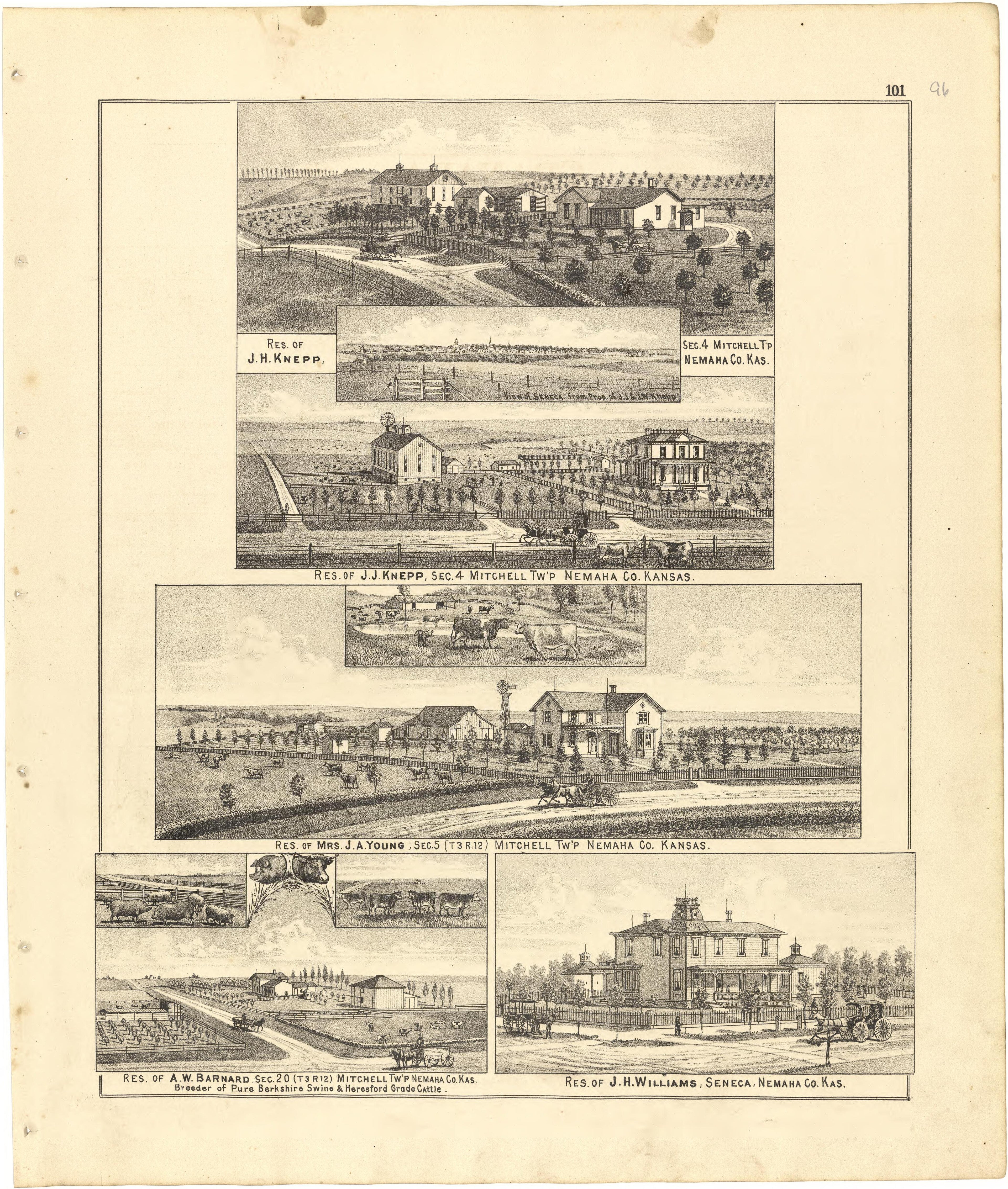 Illustrations from Meacham&