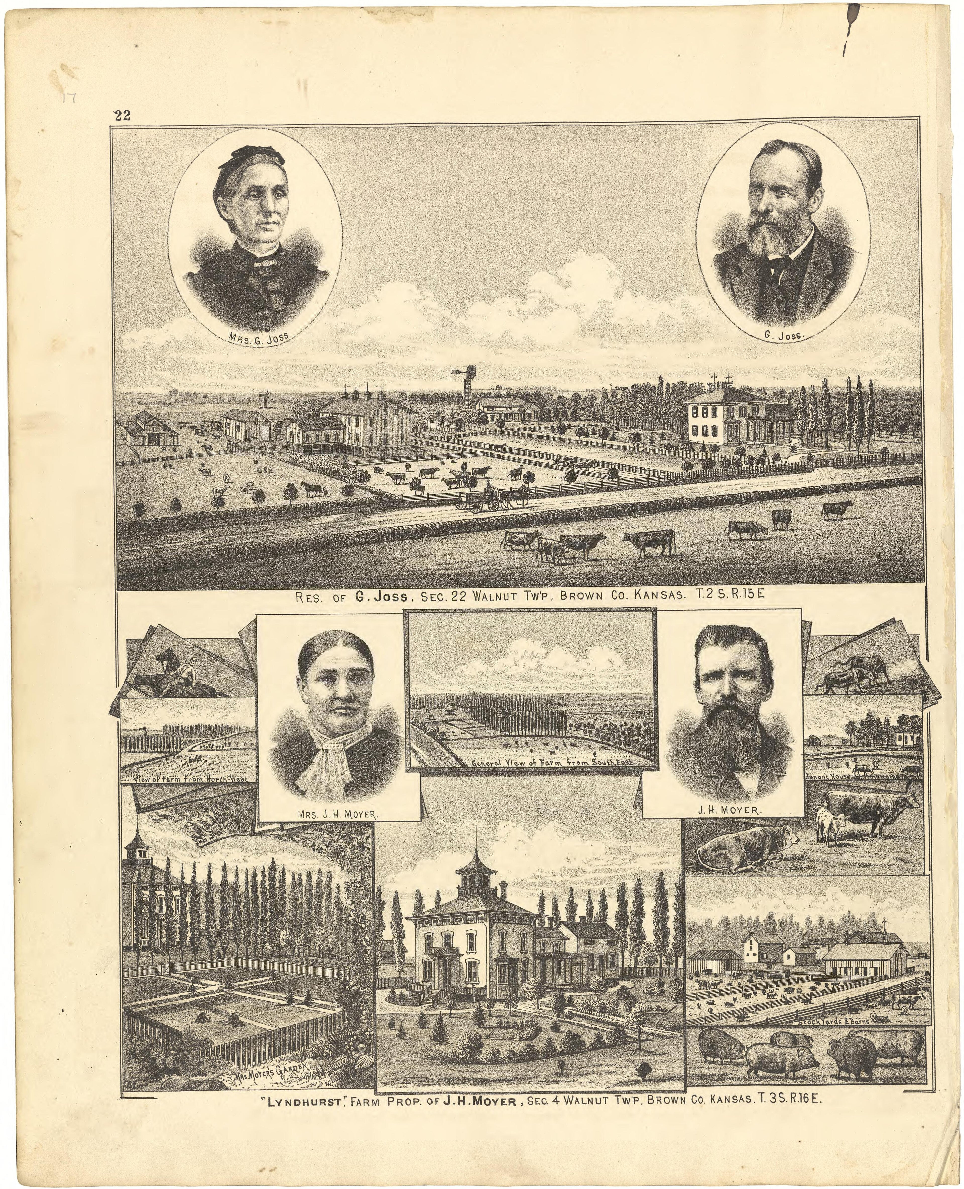 Illustrations from Meacham&