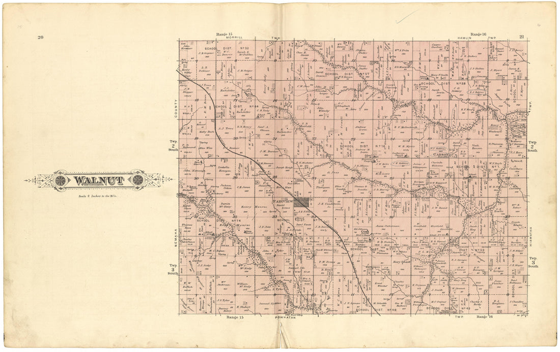 Walnut from Meacham&