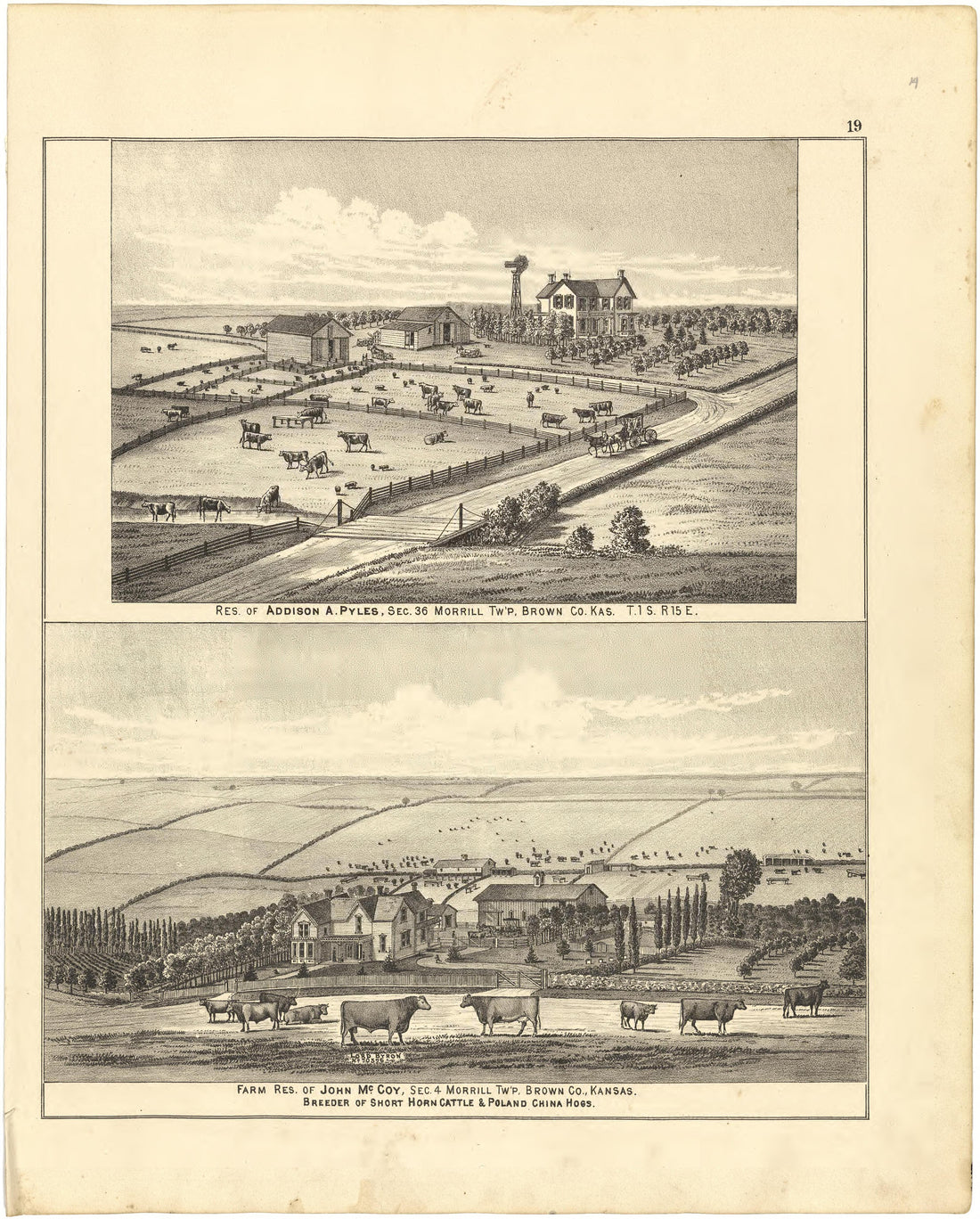 Illustrations from Meacham&