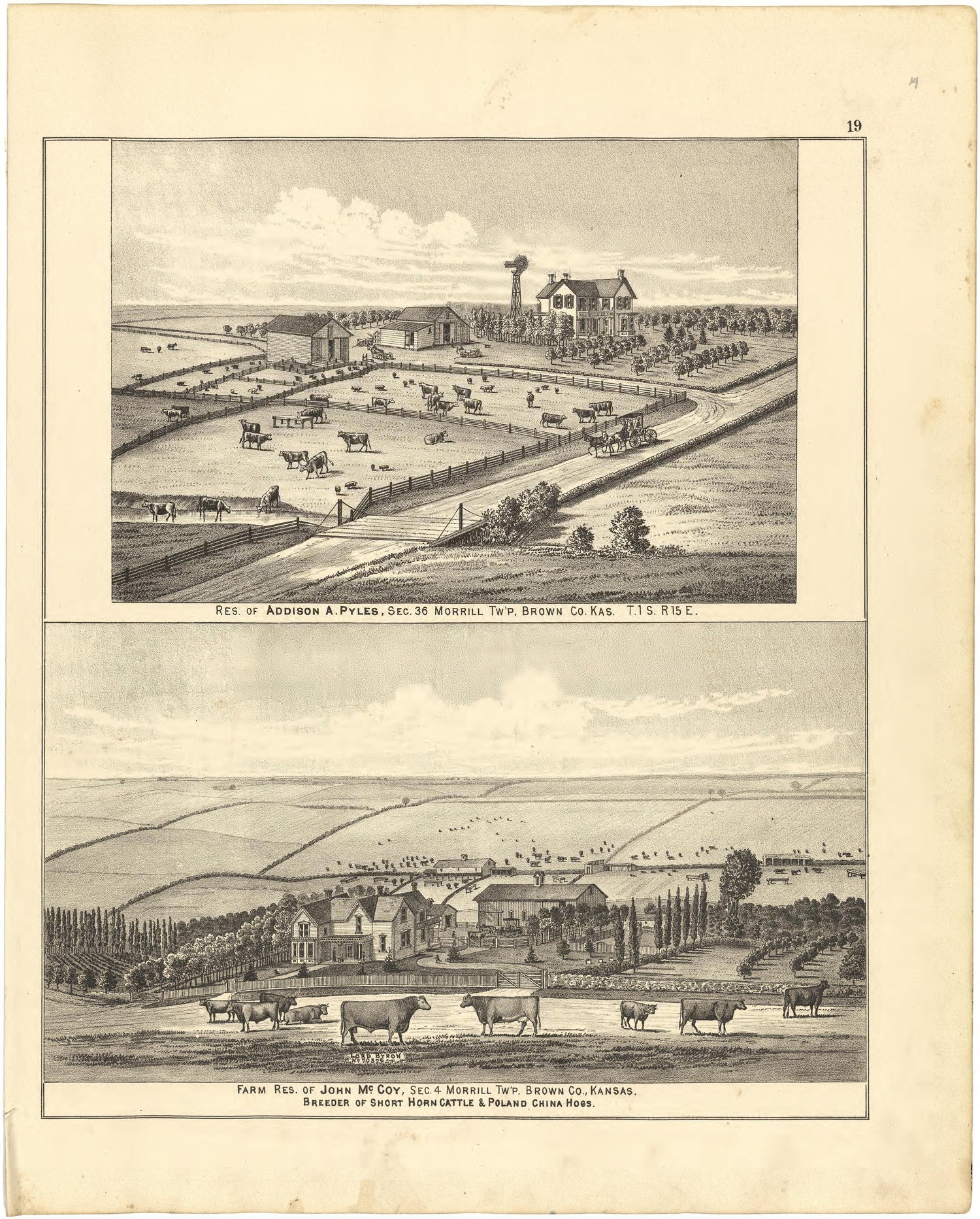 Illustrations from Meacham&
