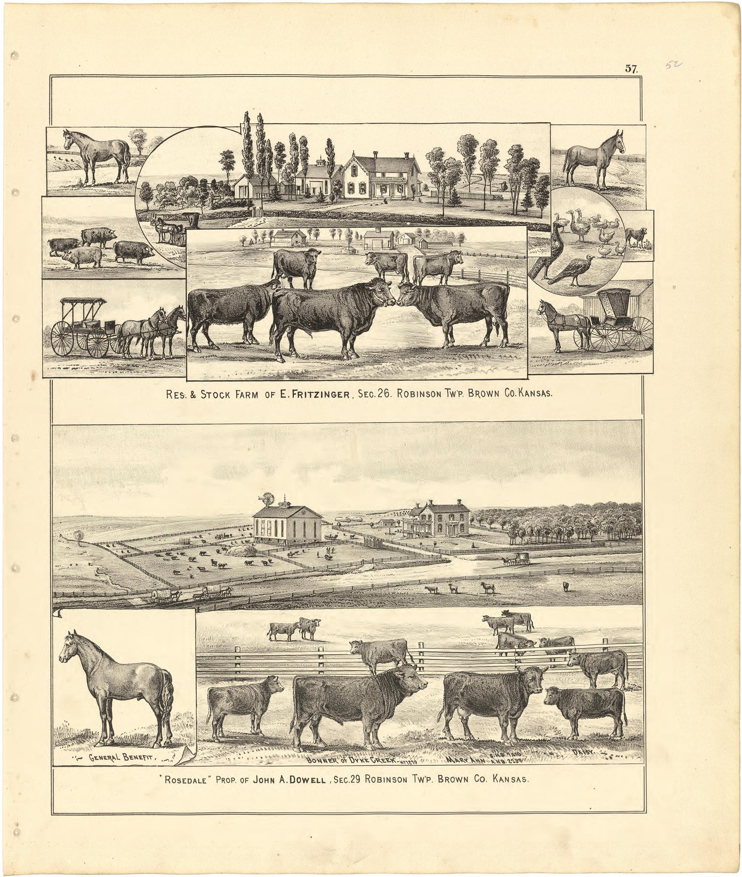 Illustrations from Meacham&