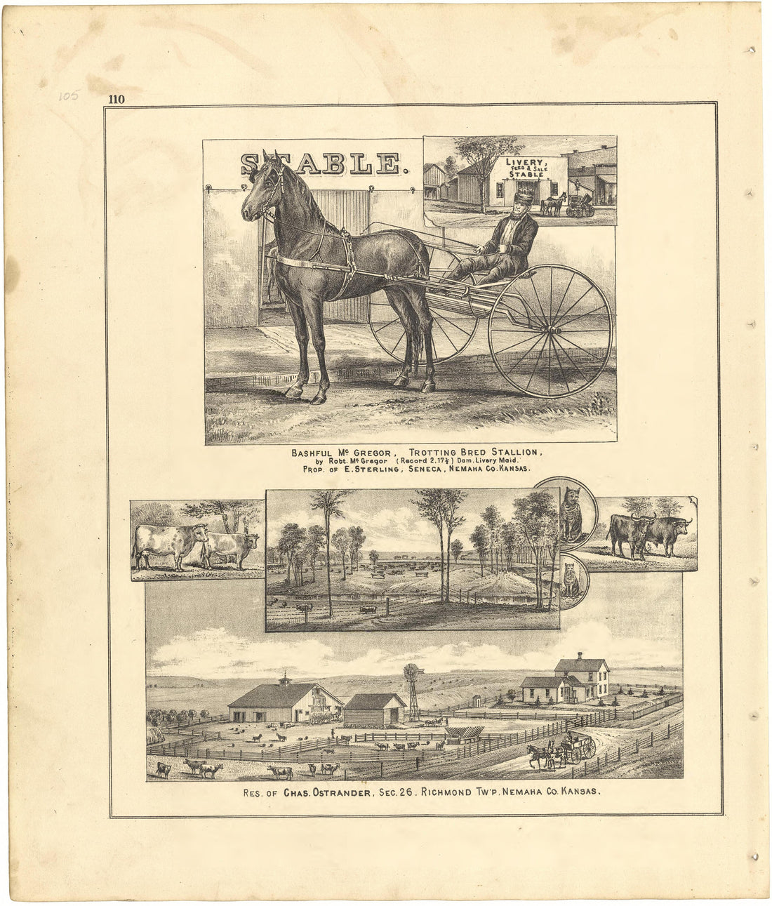 Illustrations from Meacham&