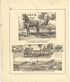 Illustrations from Meacham&