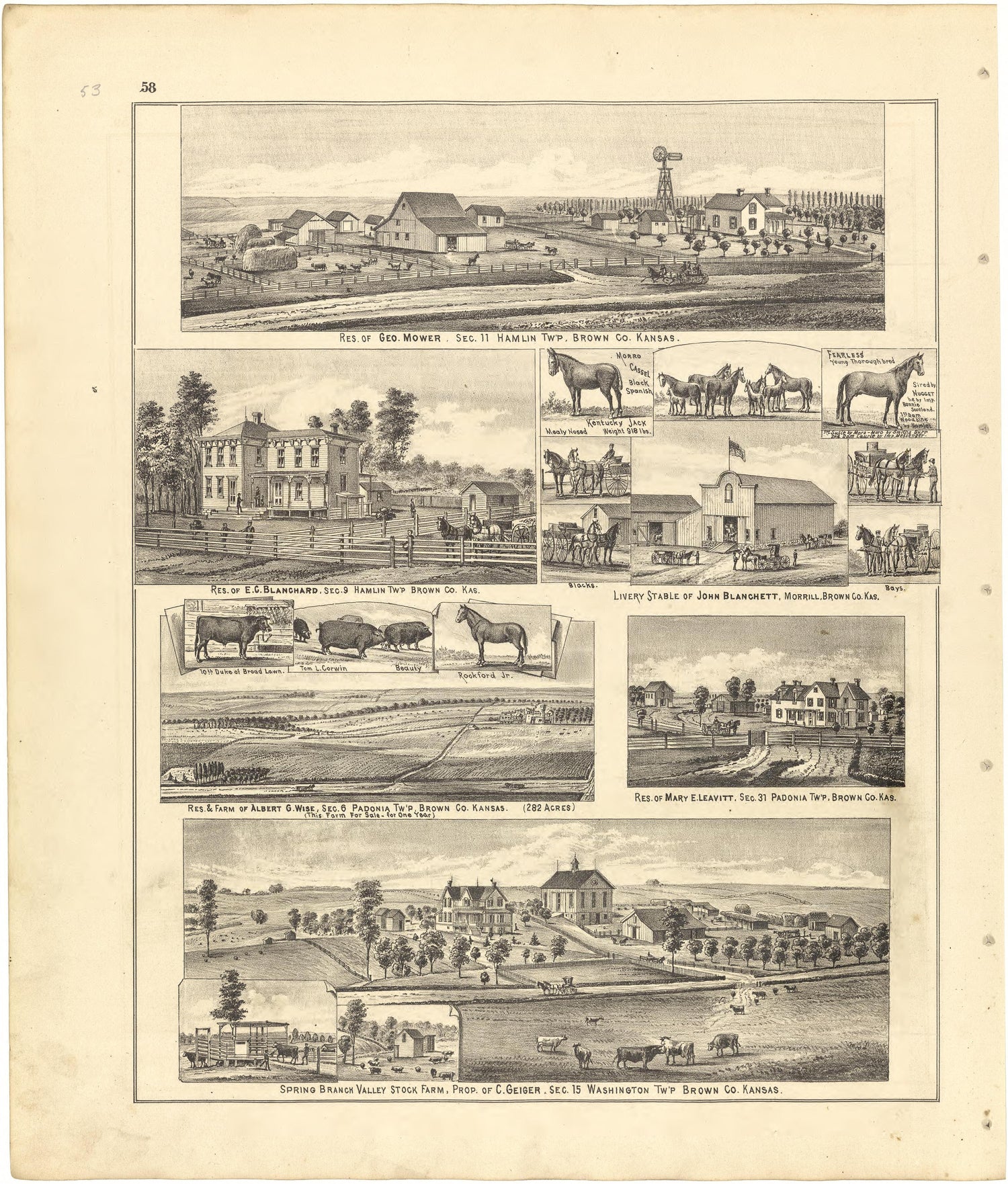 Illustrations from Meacham&