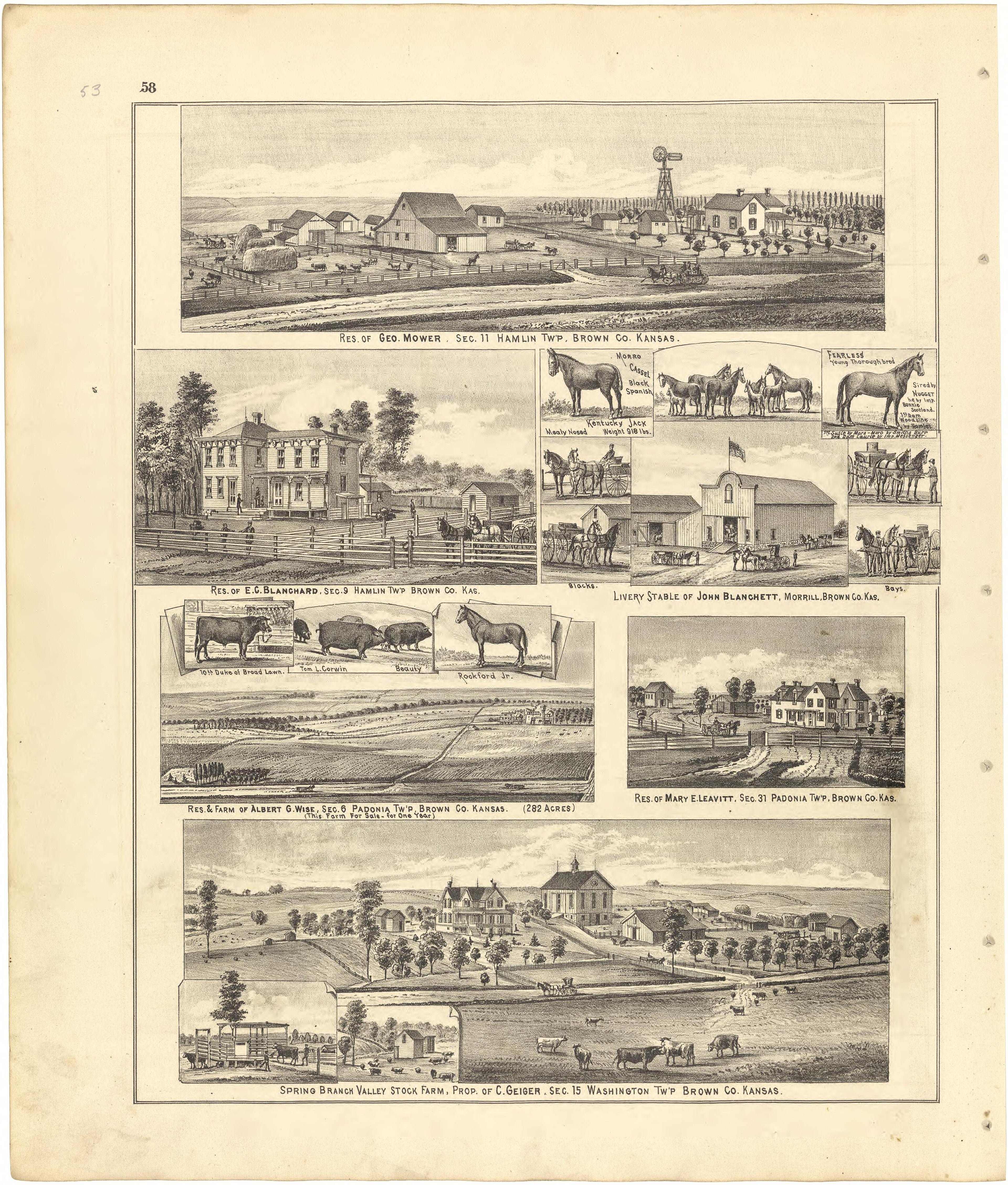 Illustrations from Meacham&