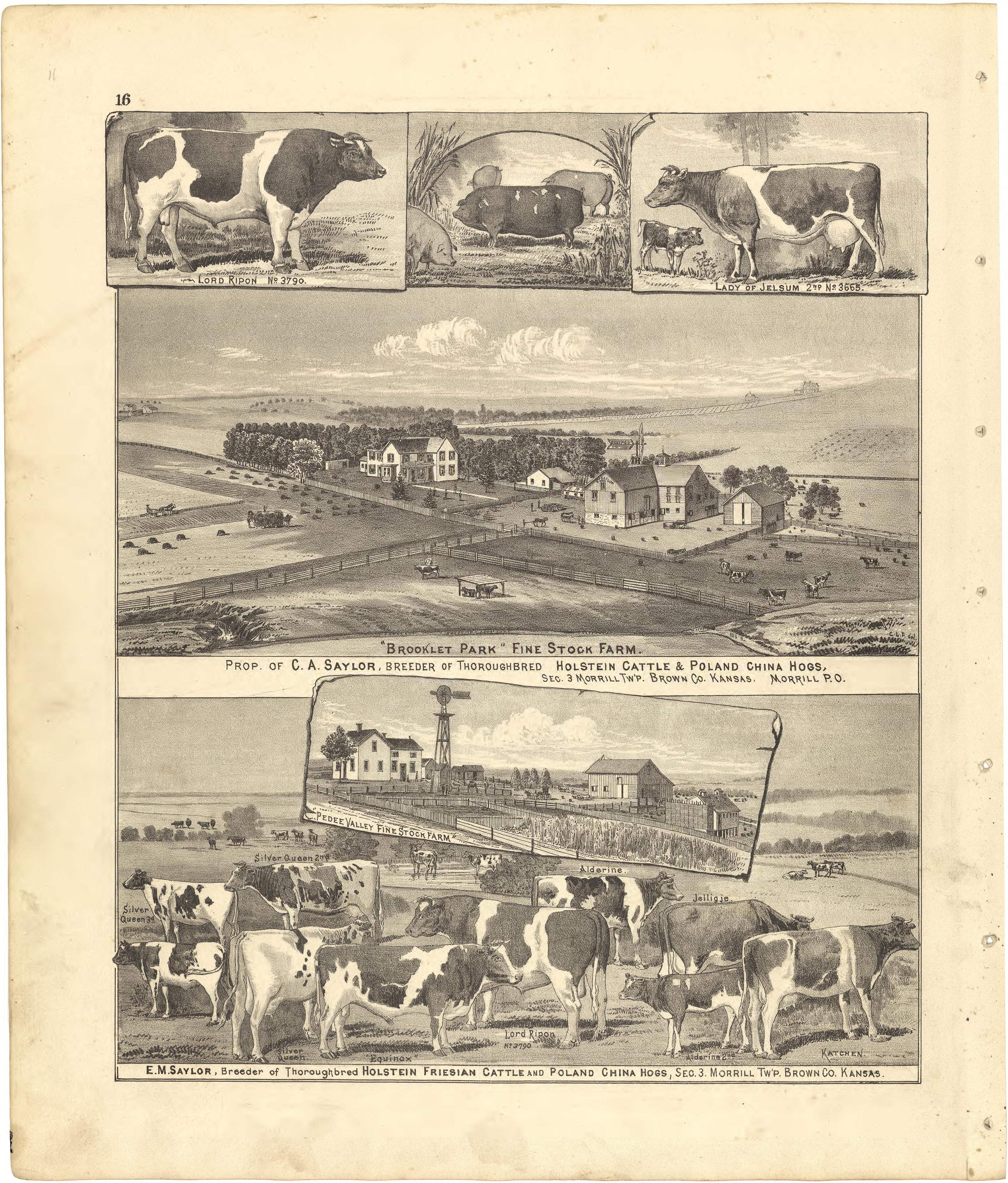 Illustrations from Meacham&