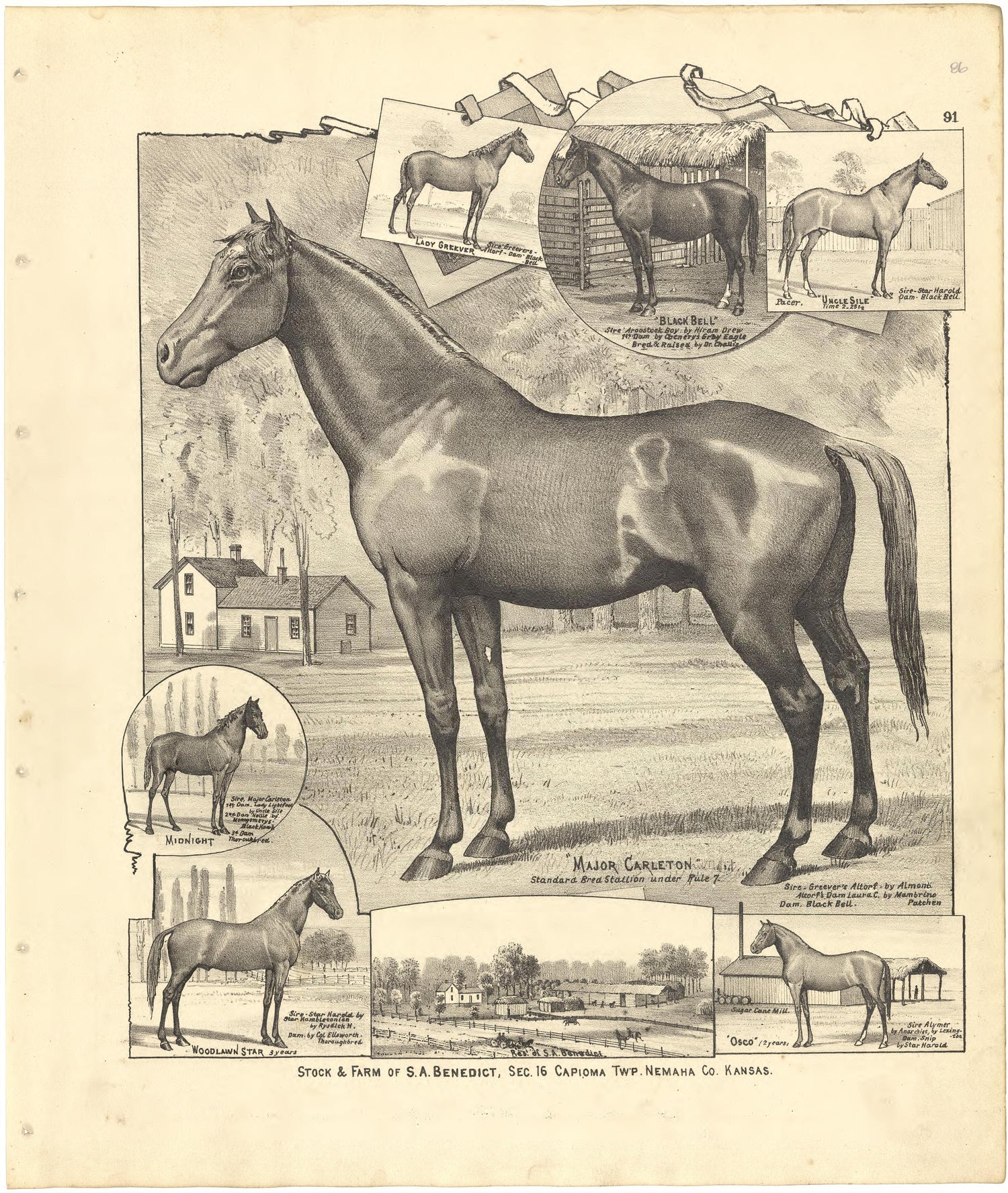 Illustrations from Meacham&