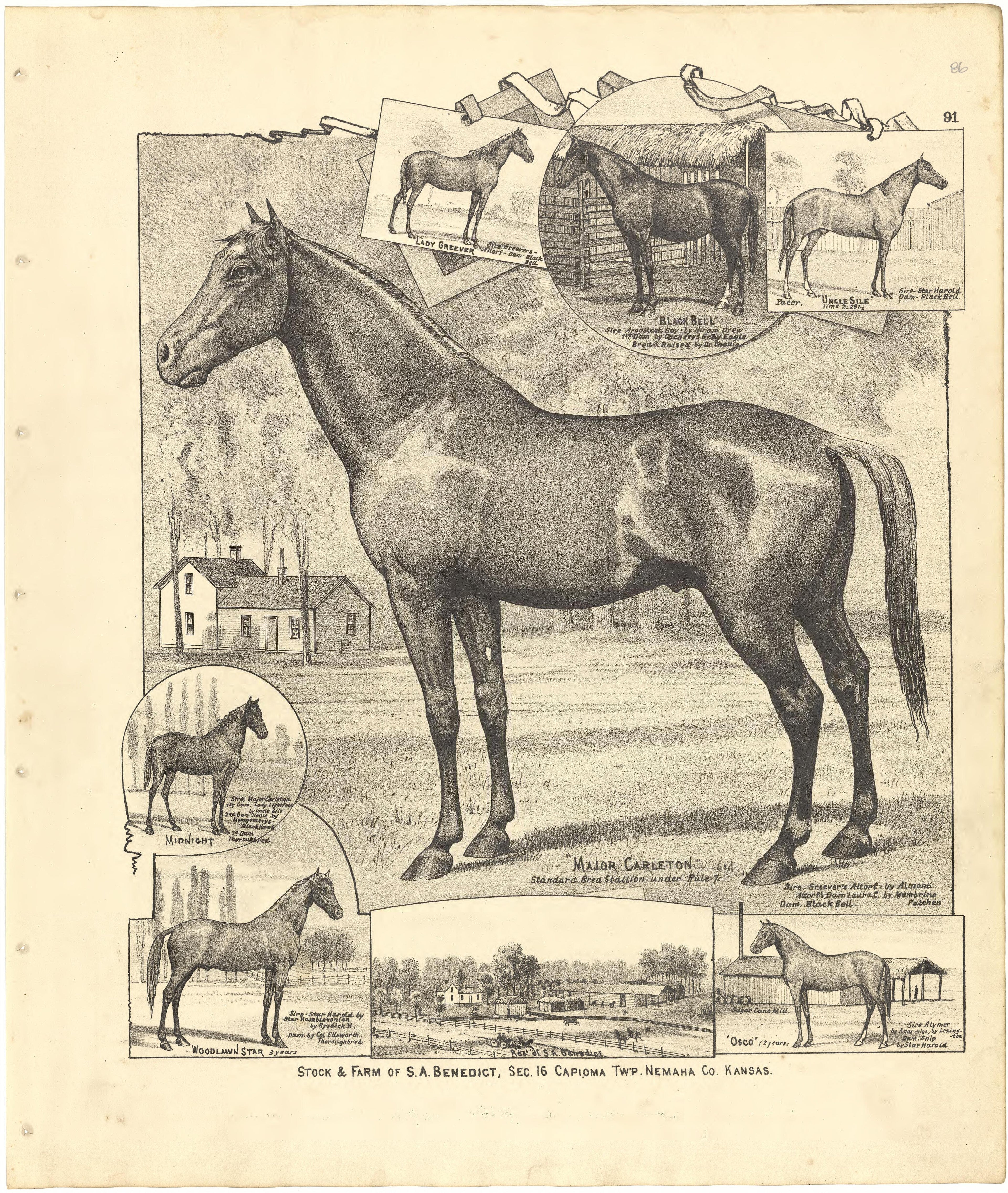 Illustrations from Meacham&