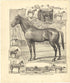Illustrations from Meacham&