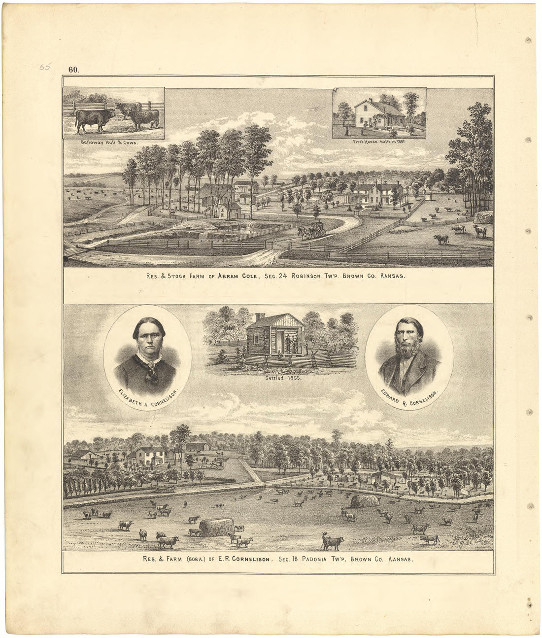 Illustrations from Meacham&