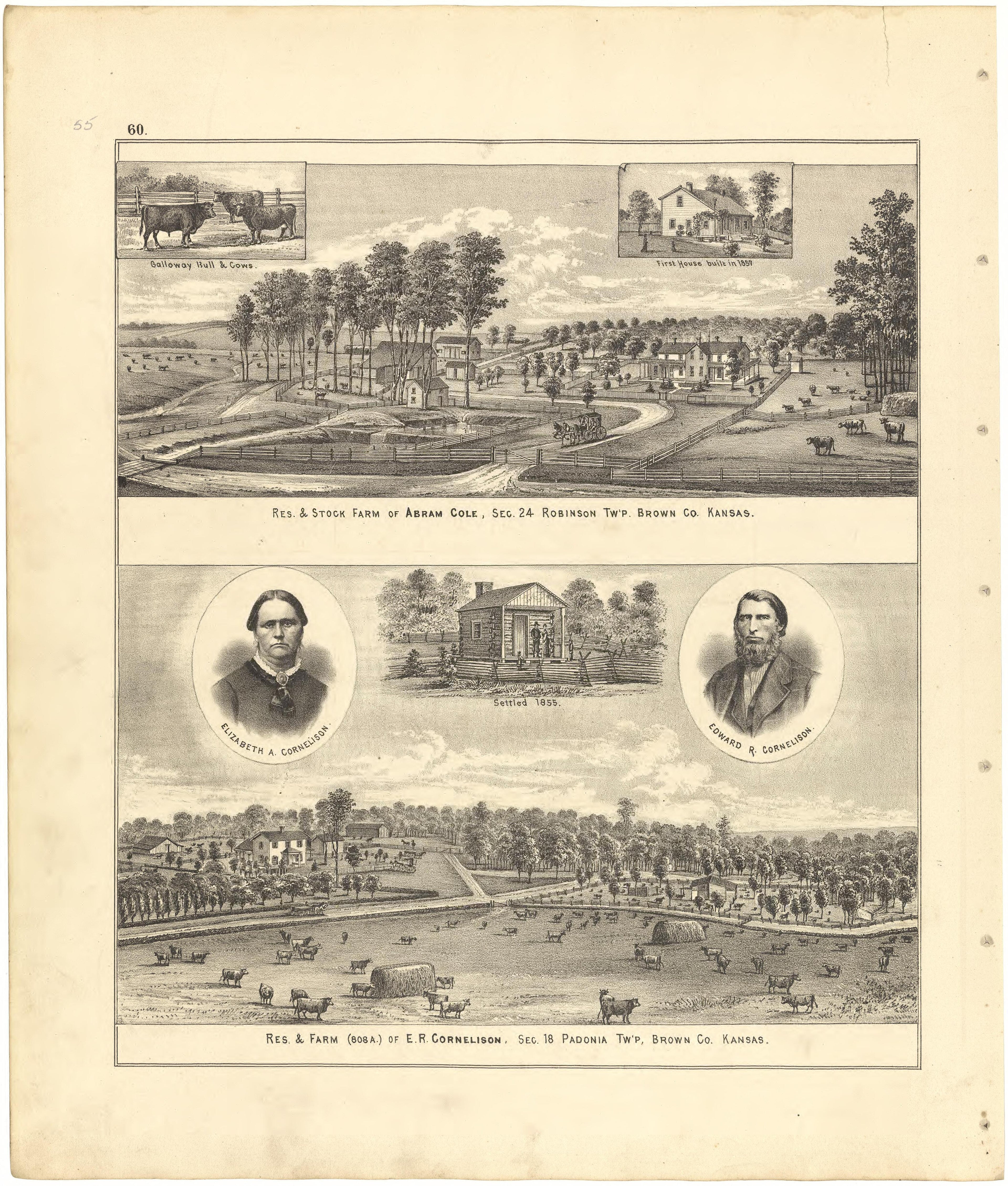 Illustrations from Meacham&
