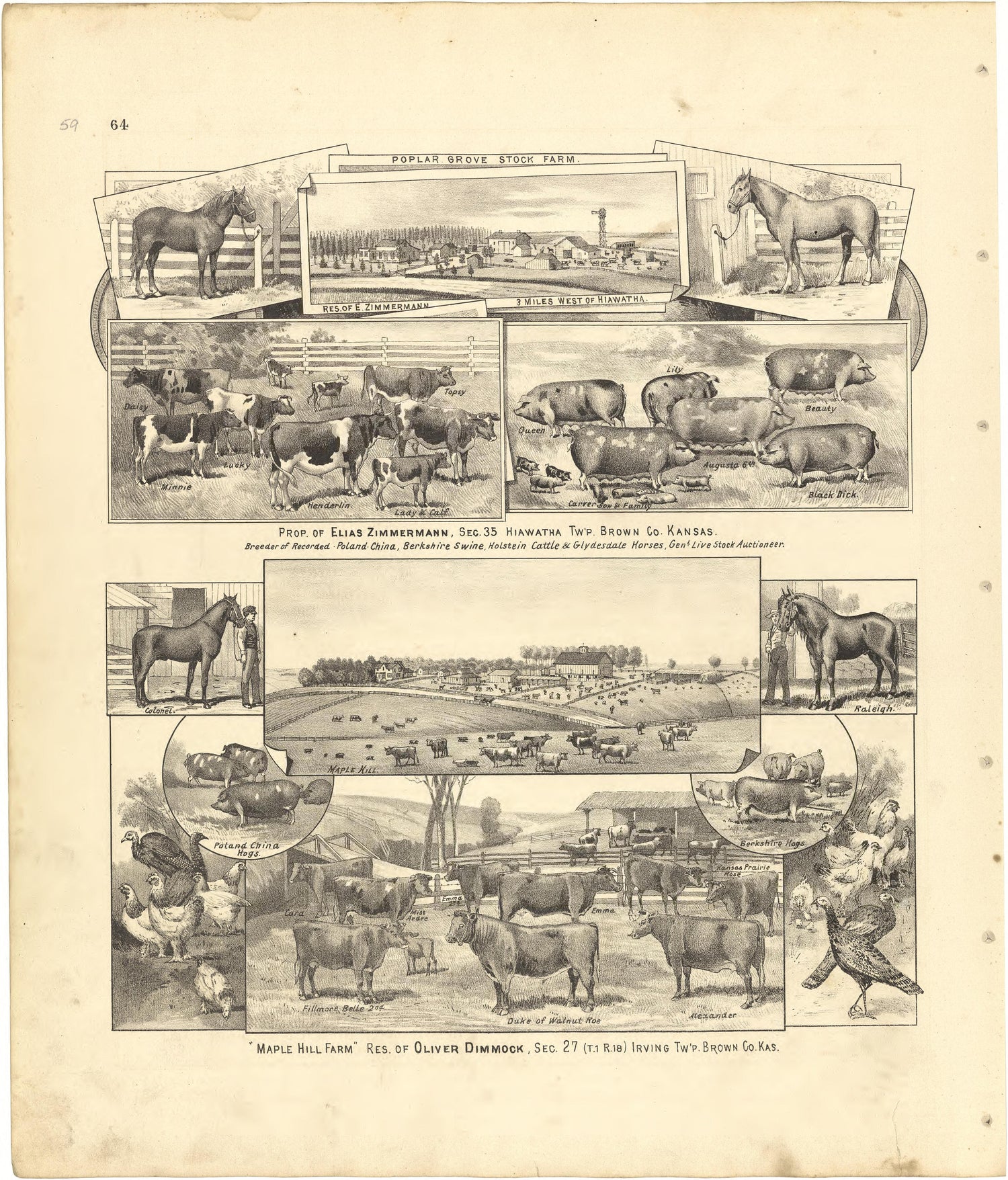 Illustrations from Meacham&