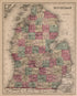 Michigan from Atlas of Saginaw County, Michigan : from Recent and Actual Surveys and Records 1877 by Relic Map Company