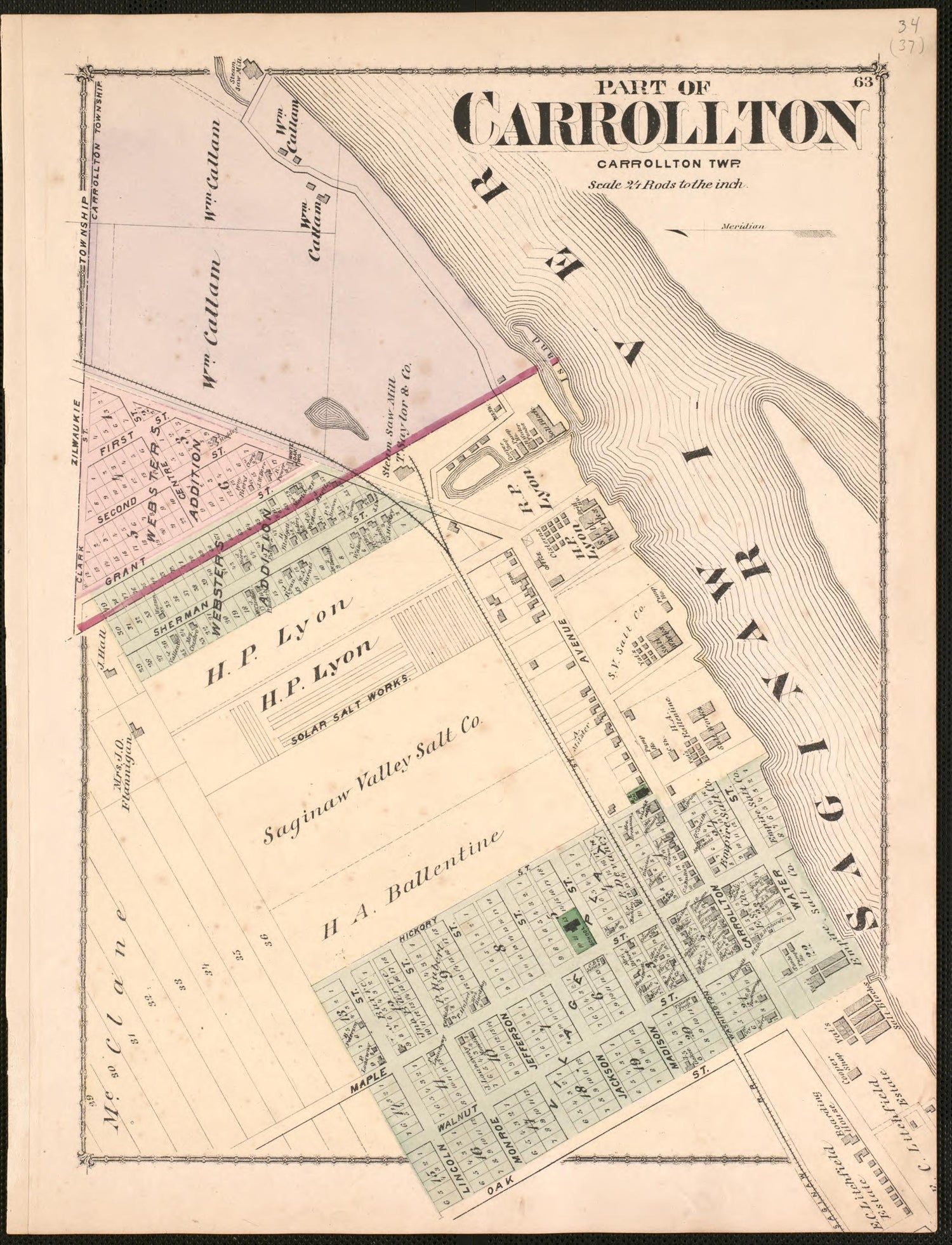 Part of Carrollton from Atlas of Saginaw County, Michigan : from Recent and Actual Surveys and Records 1877 by Relic Map Company
