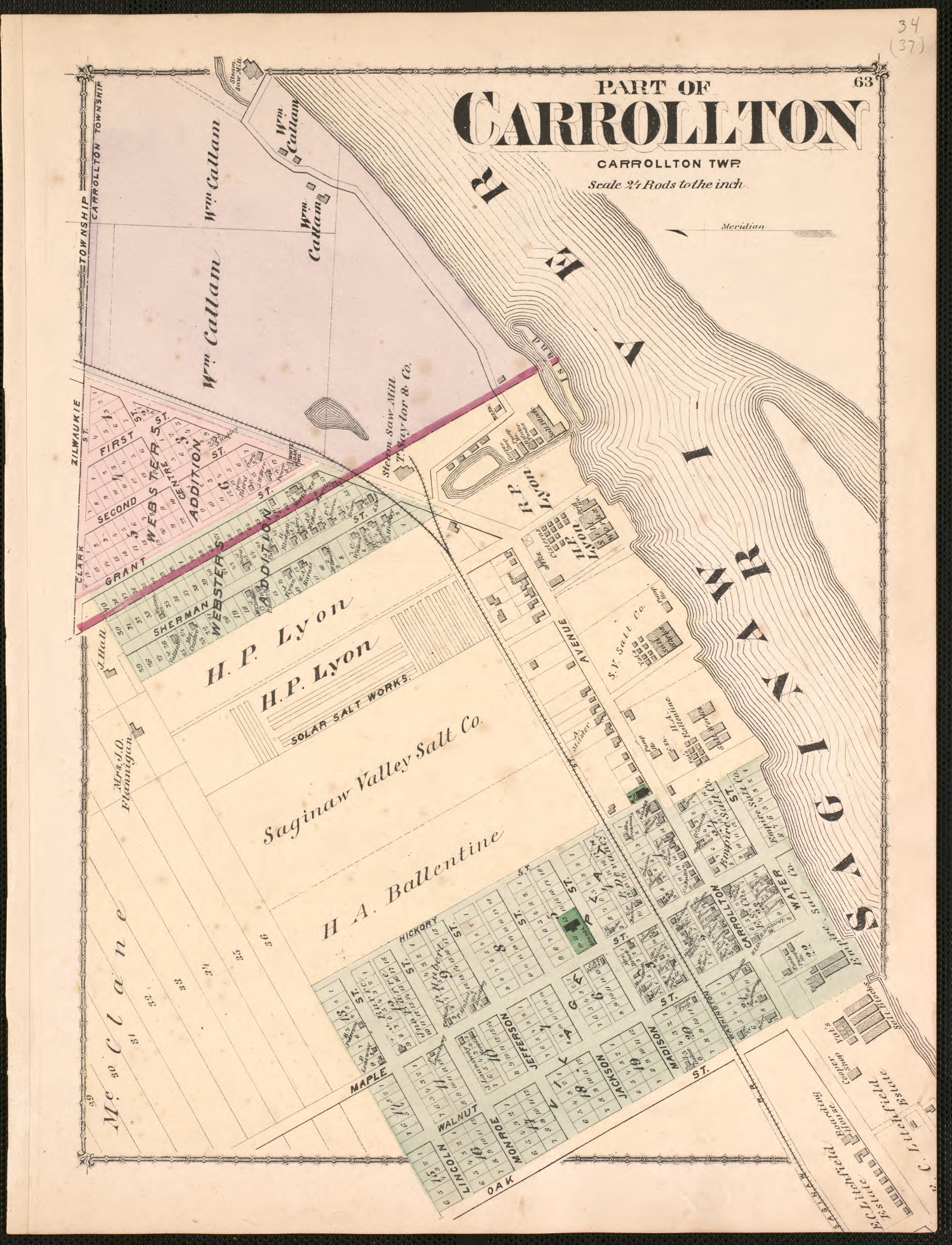 Part of Carrollton from Atlas of Saginaw County, Michigan : from Recent and Actual Surveys and Records 1877 by Relic Map Company