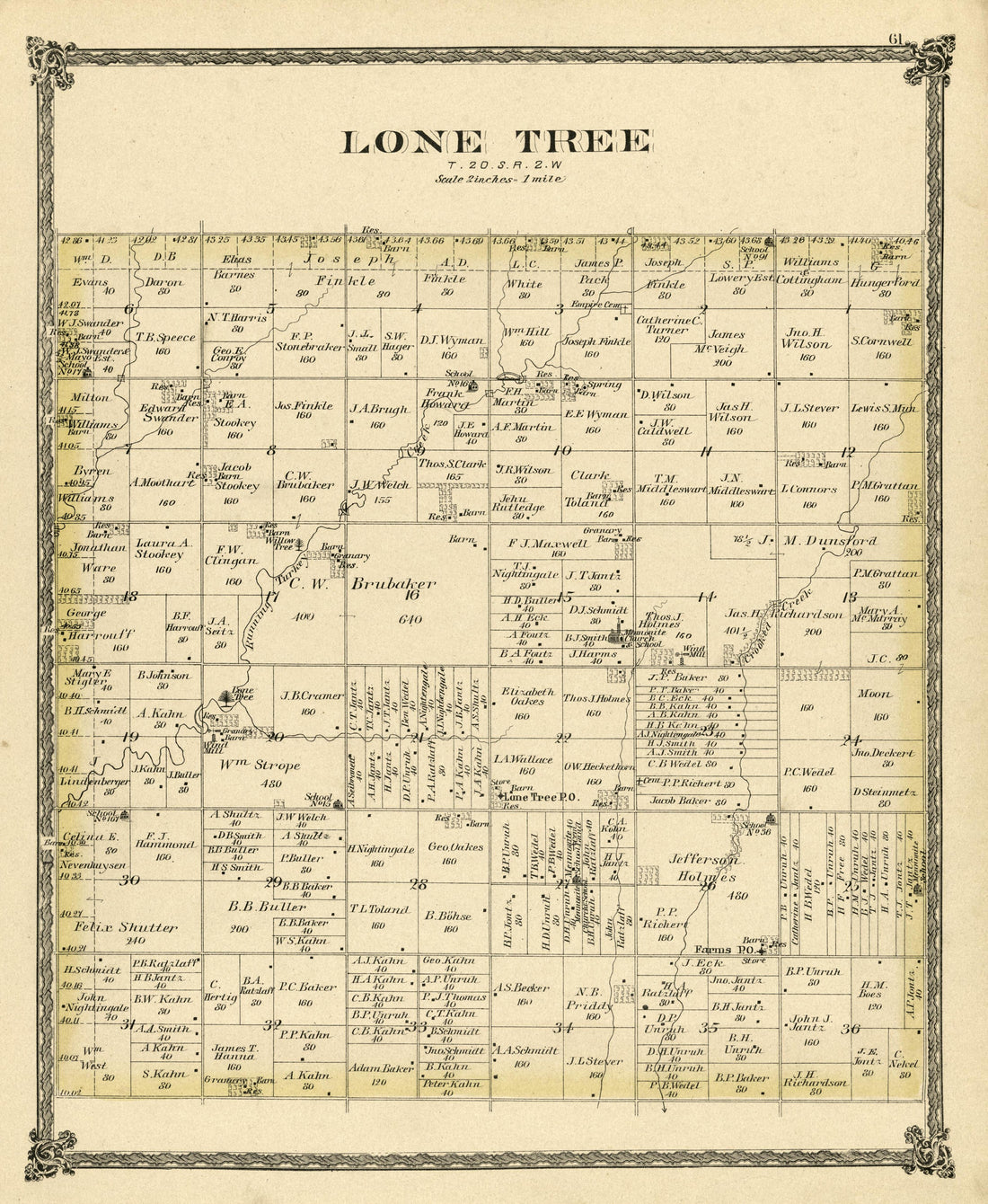 Lone Tree from Edwards&