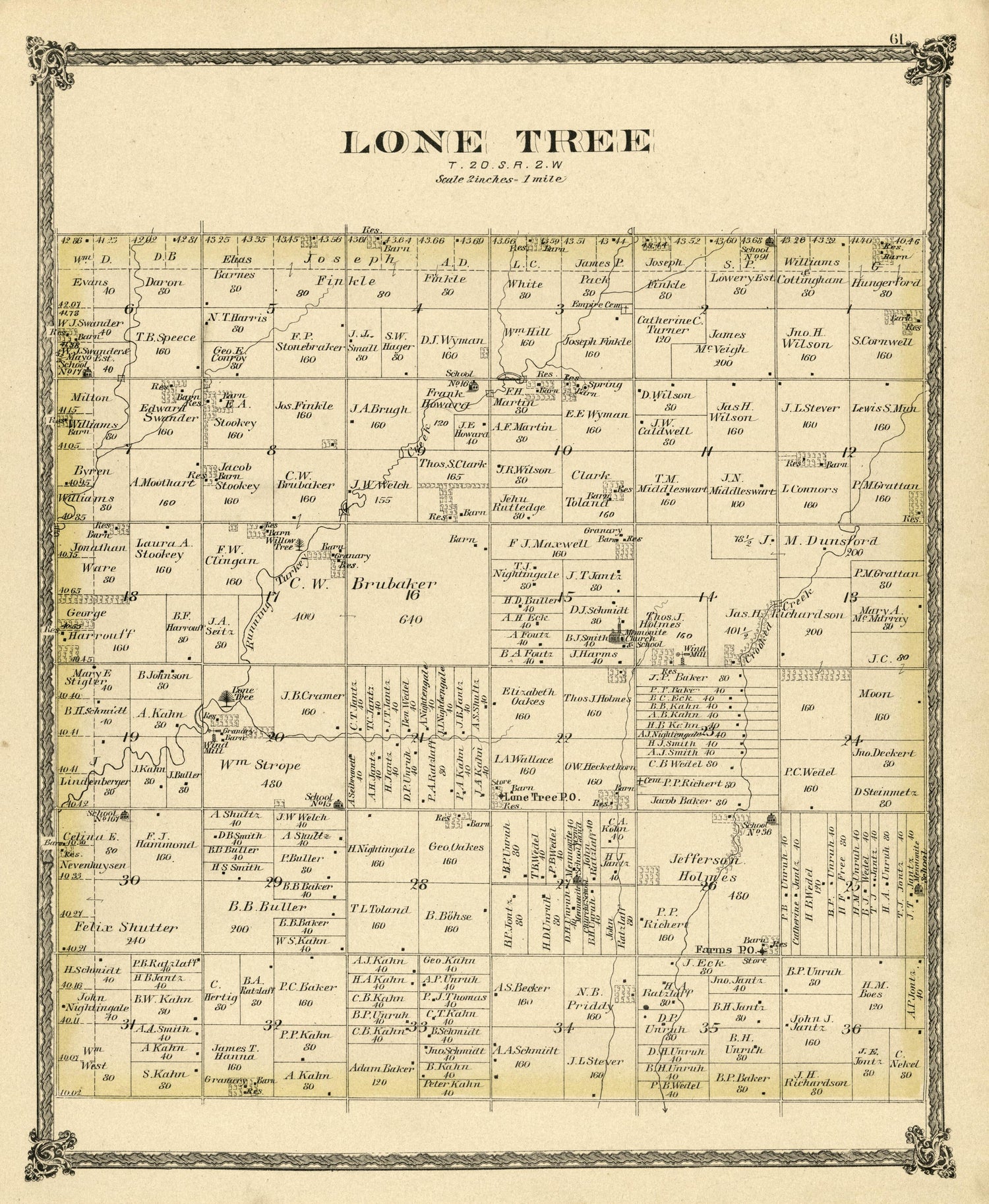 Lone Tree from Edwards&