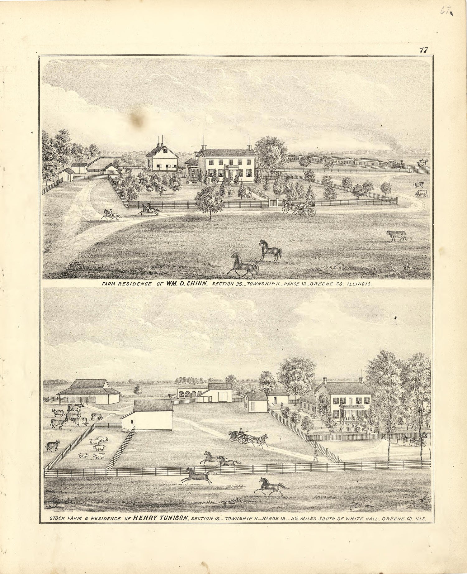 Illustrations of Residences from Atlas Map of Greene County, Illinois 1873 by Relic Map Company