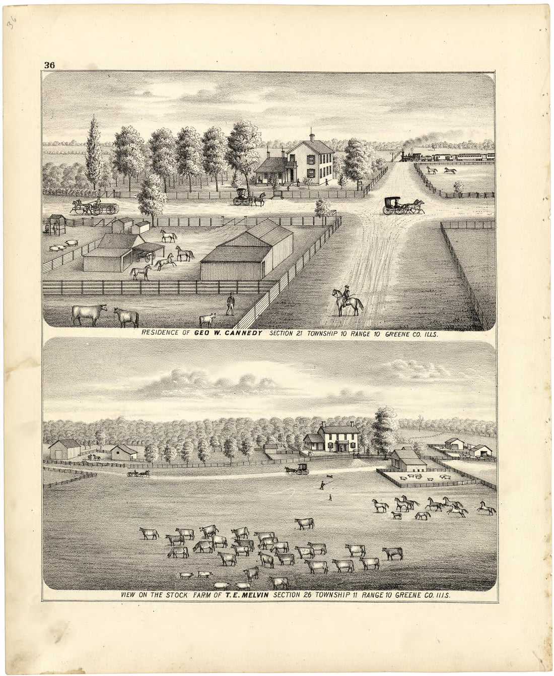 Illustrations of Residences from Atlas Map of Greene County, Illinois 1873 by Relic Map Company