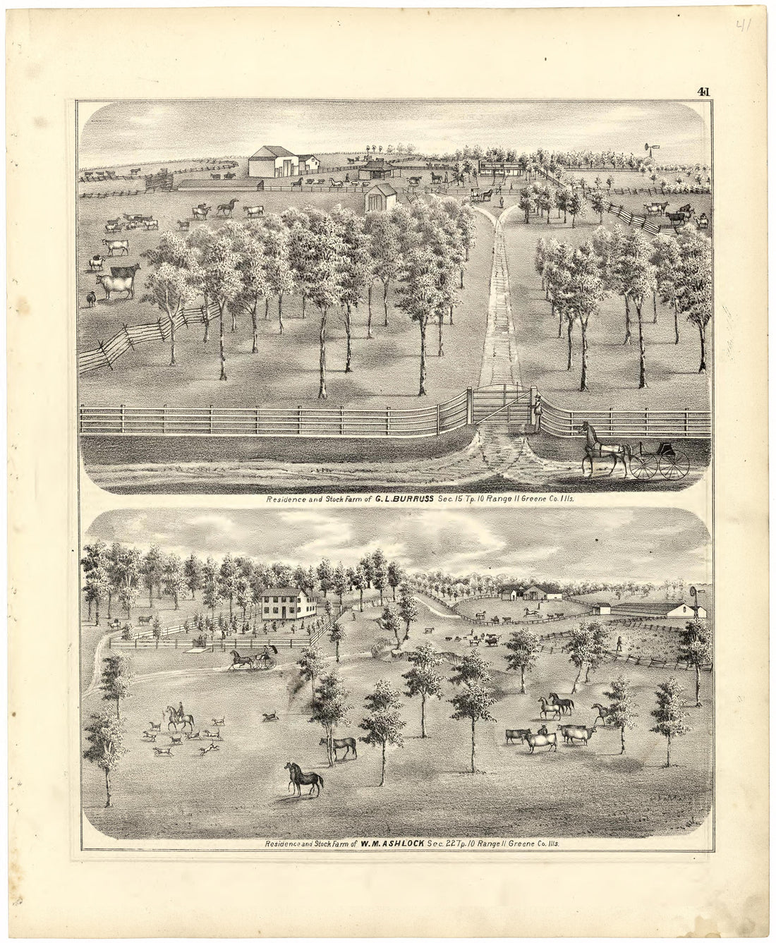 Illustrations of Residences from Atlas Map of Greene County, Illinois 1873 by Relic Map Company