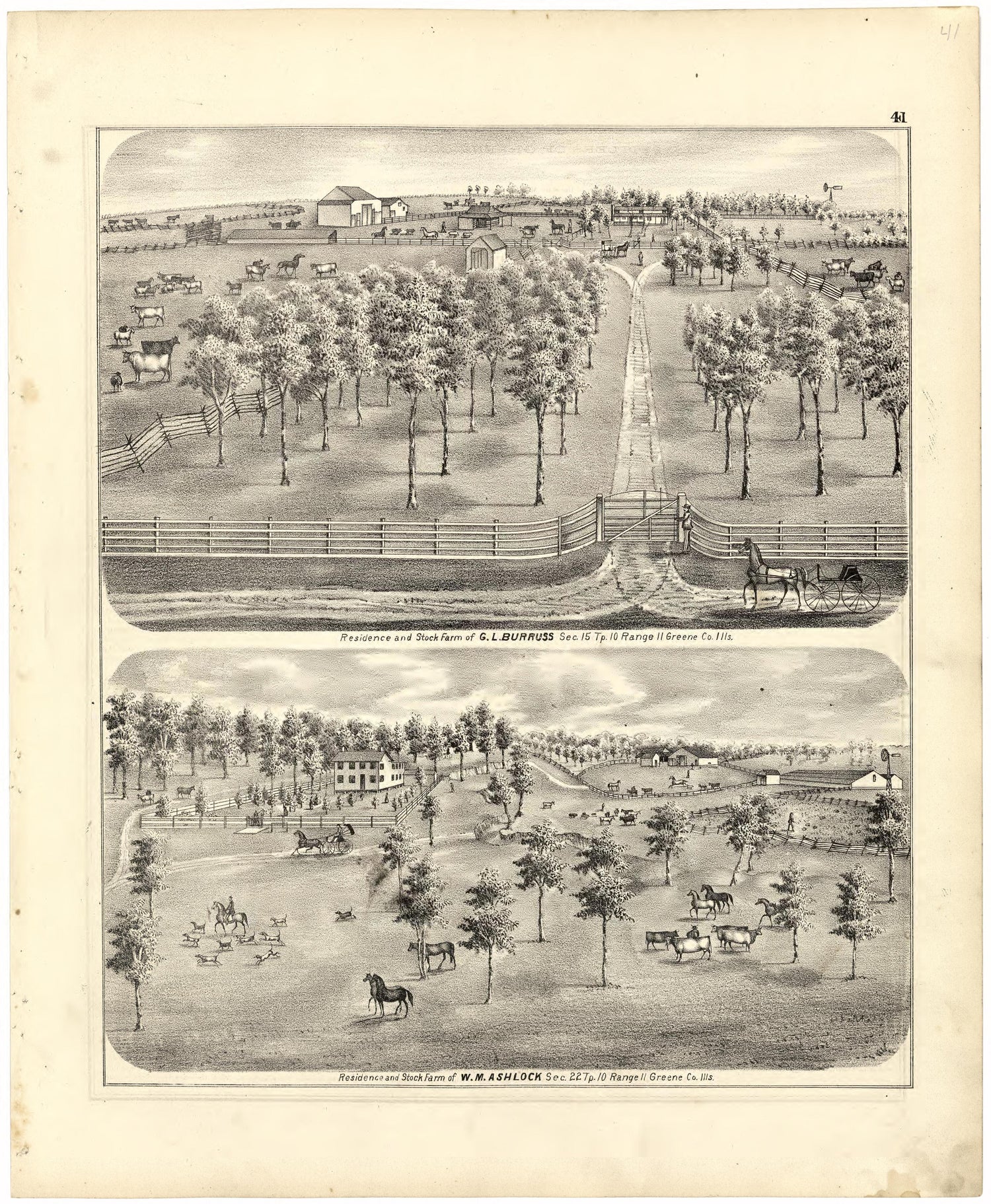 Illustrations of Residences from Atlas Map of Greene County, Illinois 1873 by Relic Map Company