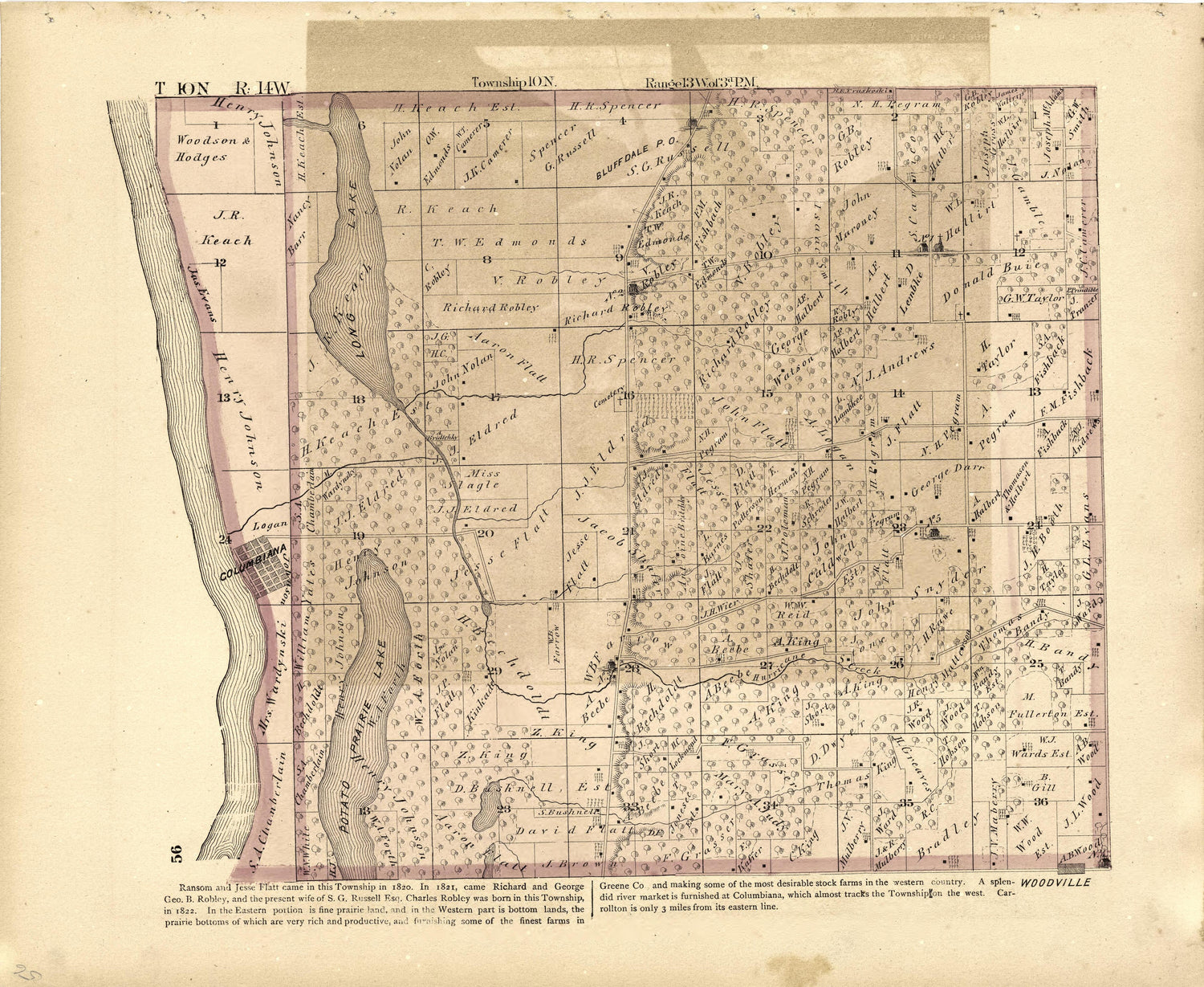 T 10N R. 14W from Atlas Map of Greene County, Illinois 1873 by Relic Map Company