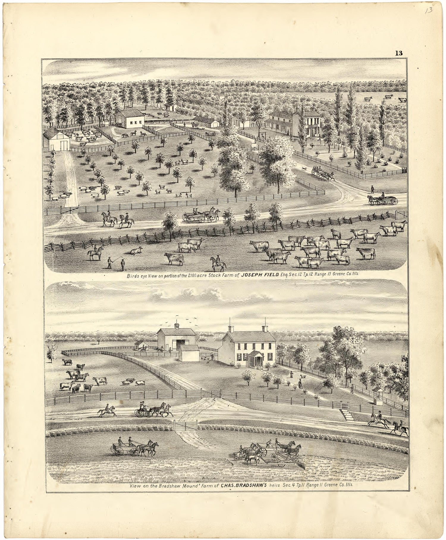 Illustrations of Residences from Atlas Map of Greene County, Illinois 1873 by Relic Map Company