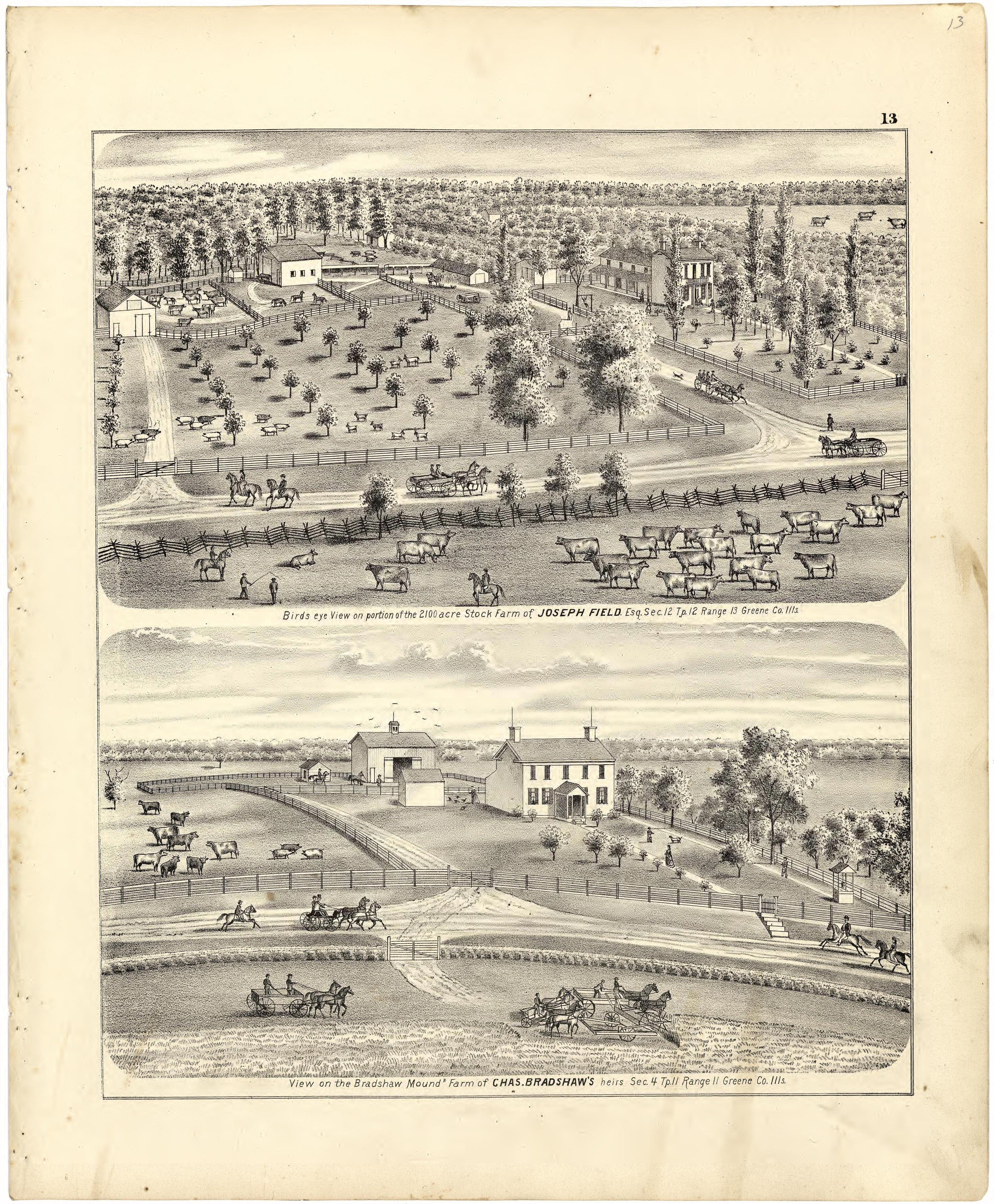 Illustrations of Residences from Atlas Map of Greene County, Illinois 1873 by Relic Map Company