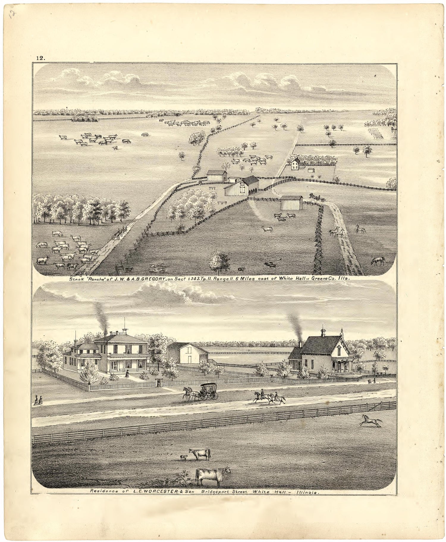 Illustrations of Residences from Atlas Map of Greene County, Illinois 1873 by Relic Map Company
