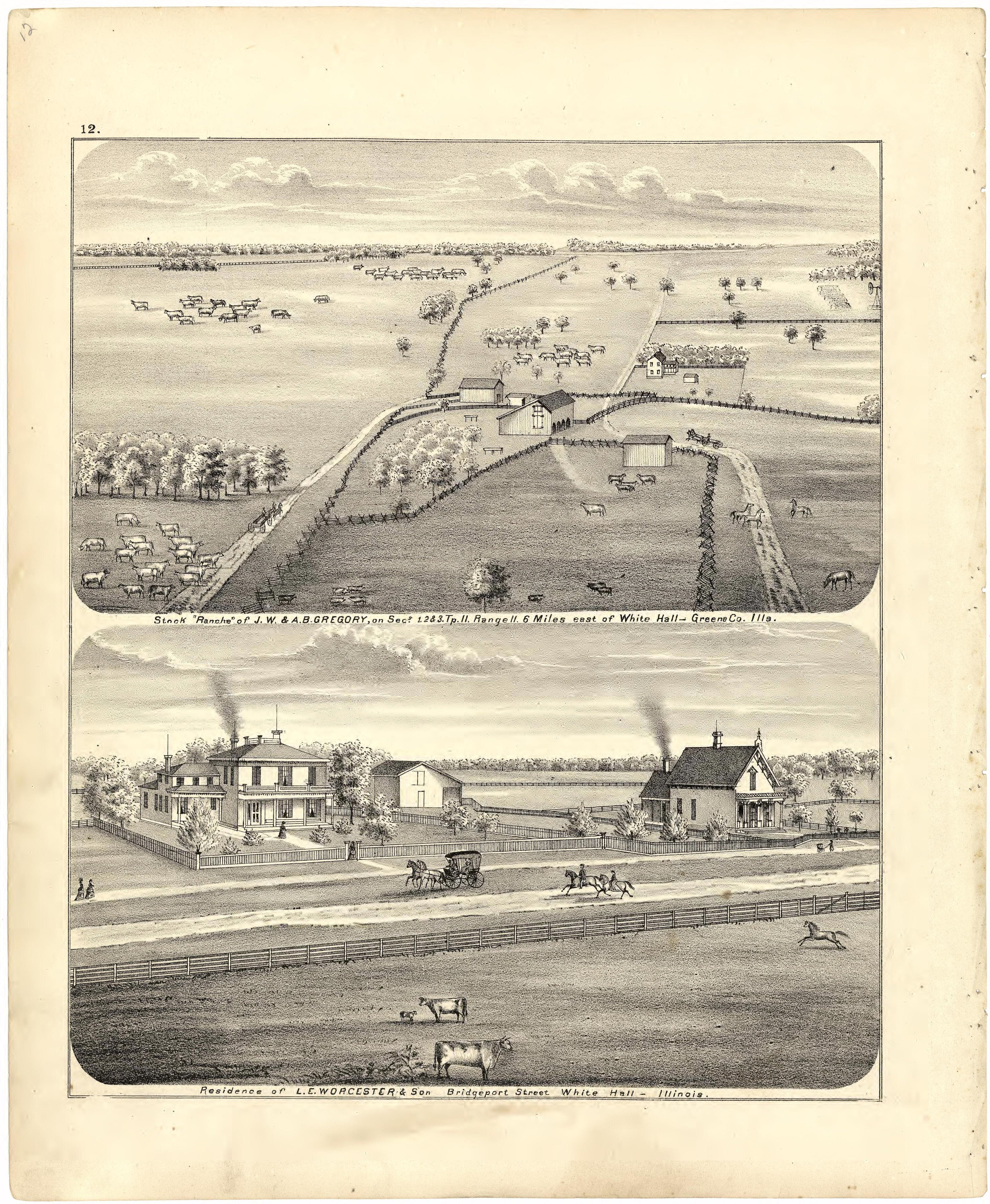 Illustrations of Residences from Atlas Map of Greene County, Illinois 1873 by Relic Map Company