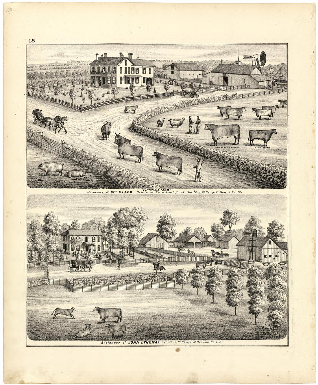Illustrations of Residences from Atlas Map of Greene County, Illinois 1873 by Relic Map Company