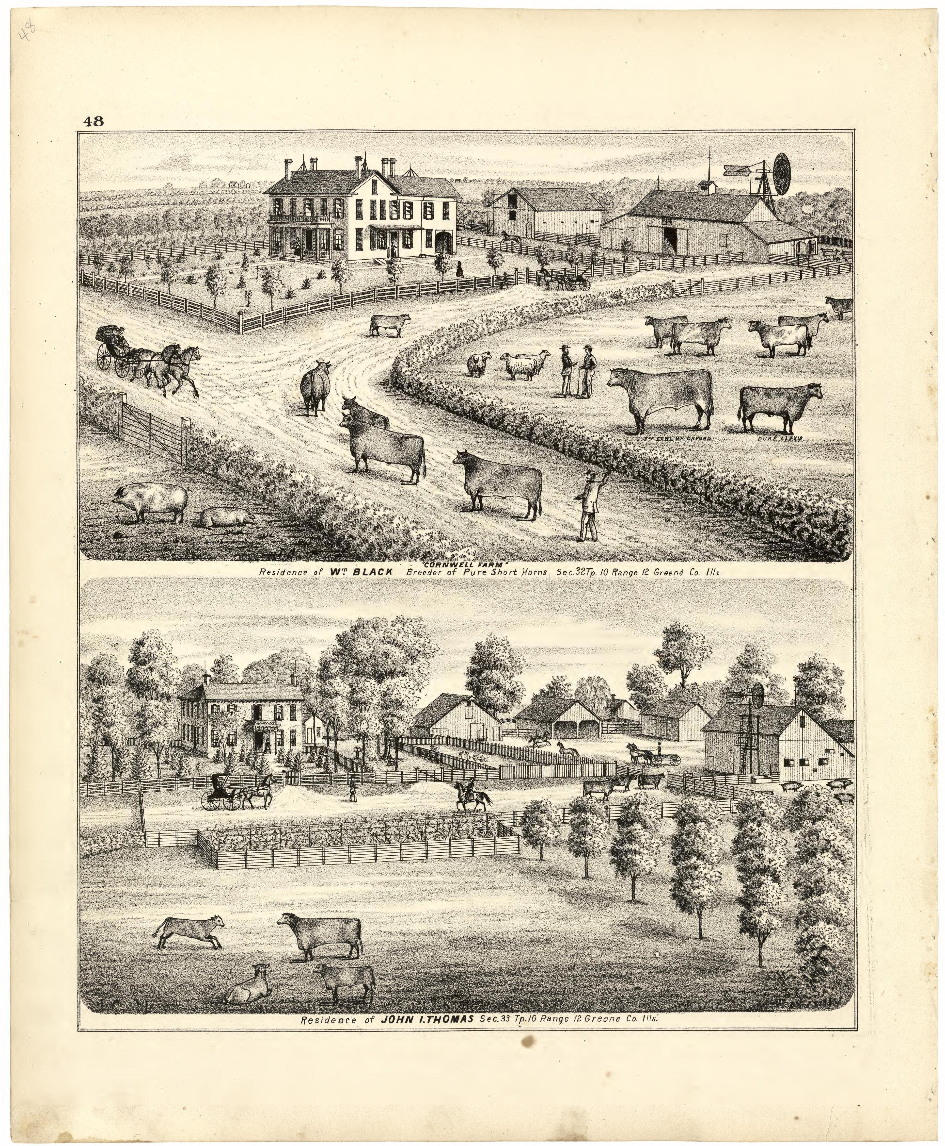 Illustrations of Residences from Atlas Map of Greene County, Illinois 1873 by Relic Map Company