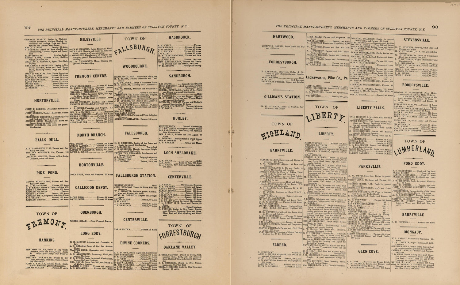 Principal Manufacturers, Merchants and Farmers of Sullivan County, New York from County Atlas of Sullivan, New York 1875 by Relic Map Company