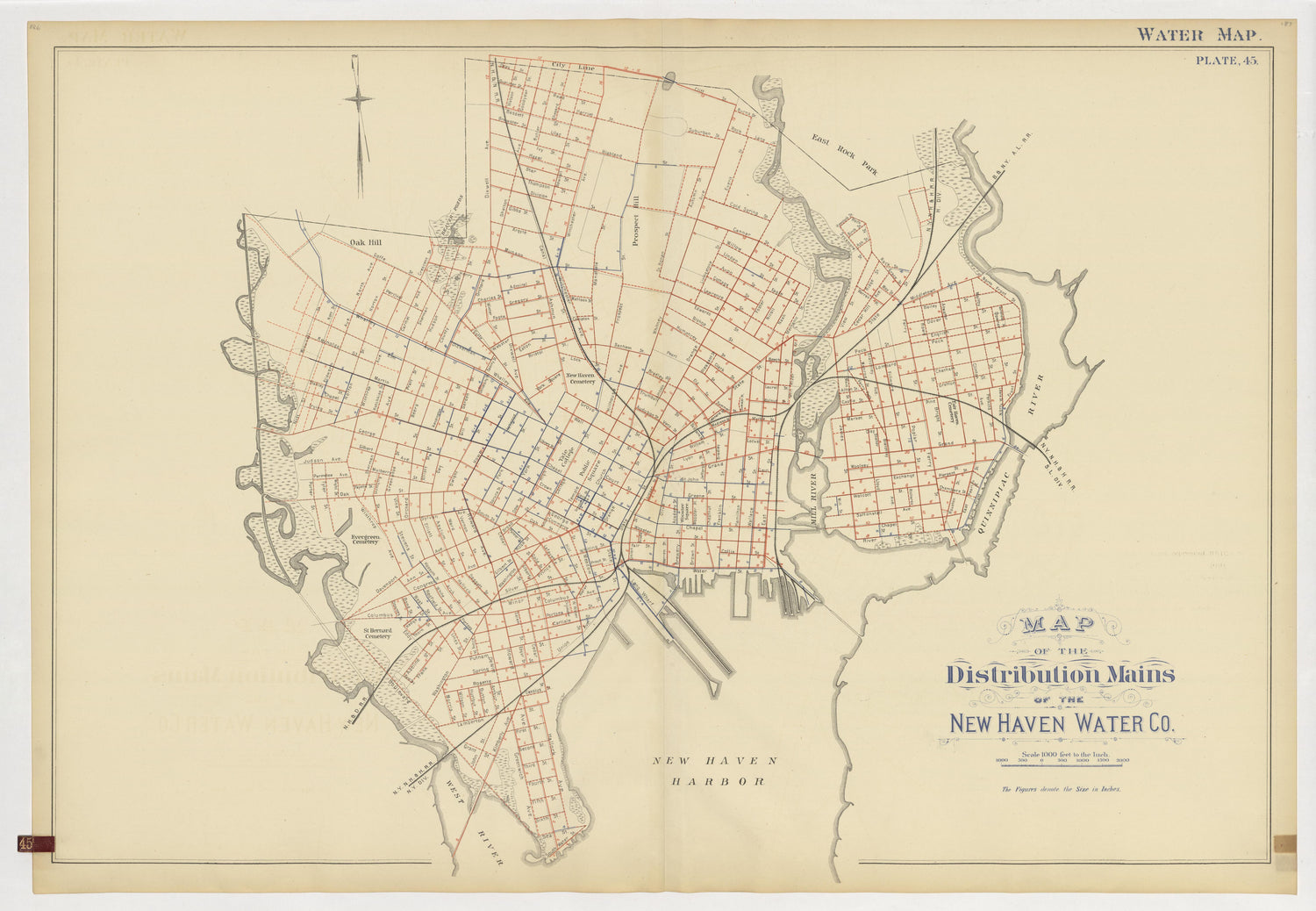 Image 49 of Atlas of City of New Haven, Connecticut... from Atlas of City of New Haven, Connecticut 1888 by Relic Map Company