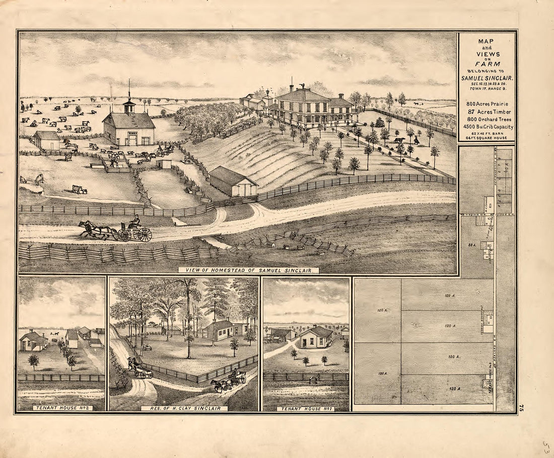 Views - 5 from Illustrated Atlas Map of Cass County, Illinois : Carefully Compiled from Personal Examinations and Surveys 1874 by Relic Map Company