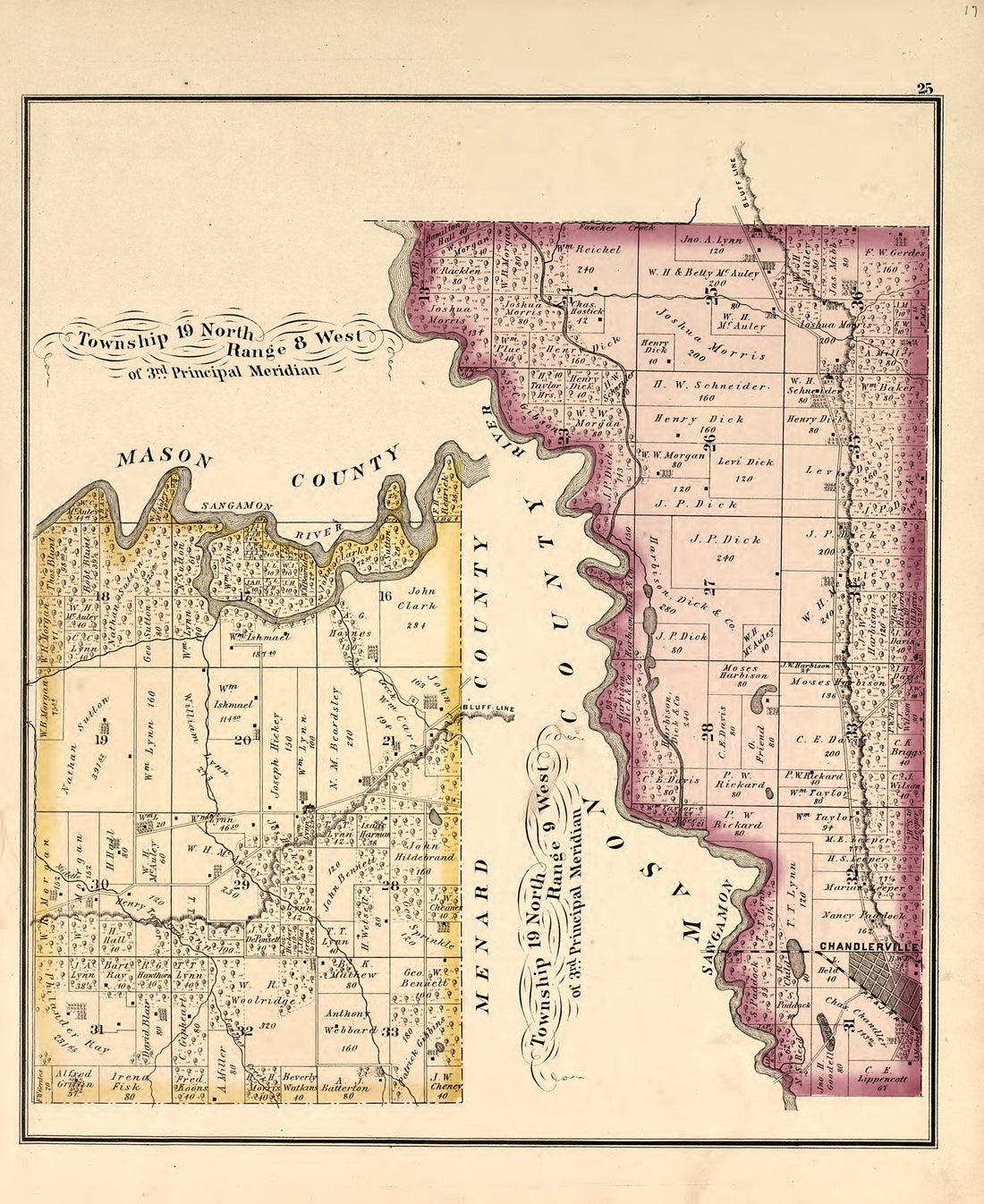 Township 19 North Range 8 West from Illustrated Atlas Map of Cass County, Illinois : Carefully Compiled from Personal Examinations and Surveys 1874 by Relic Map Company