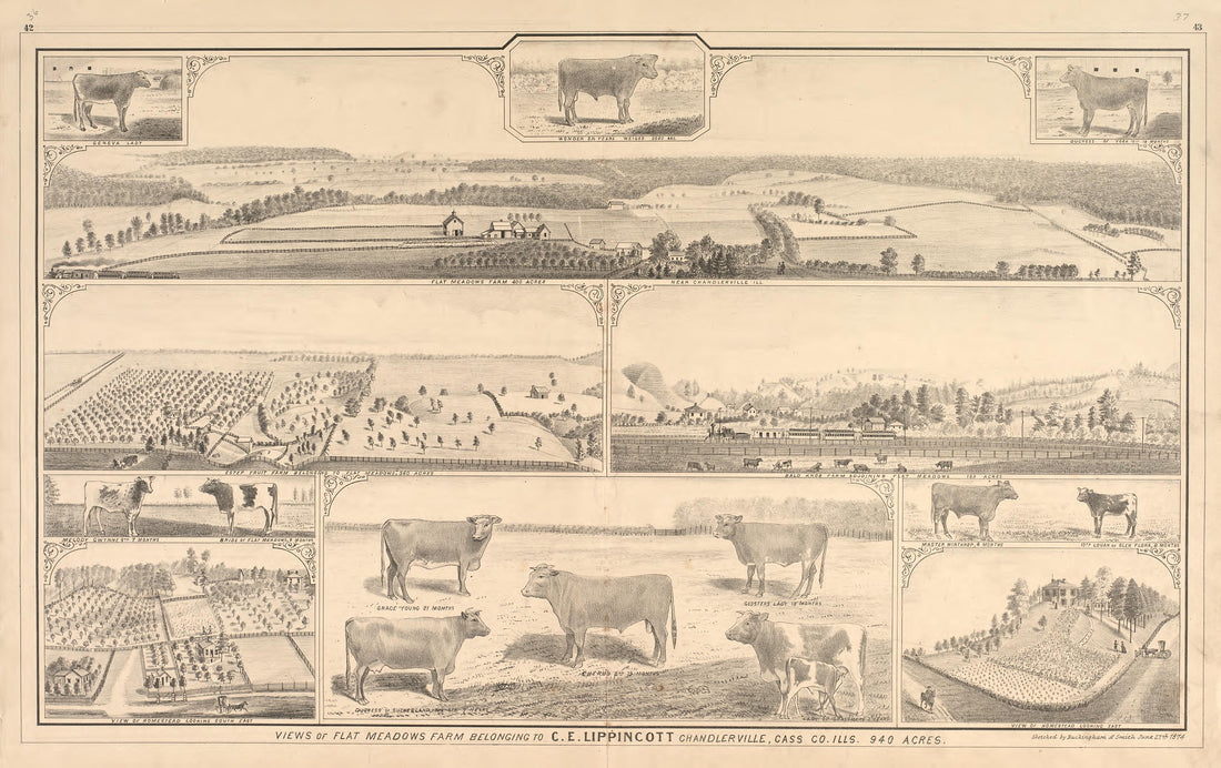 Views - 11 from Illustrated Atlas Map of Cass County, Illinois : Carefully Compiled from Personal Examinations and Surveys 1874 by Relic Map Company