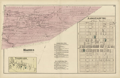 Haines; Aaronsburg; Woodward from Atlas of Centre County, Pennsylvania 1874 by Relic Map Company