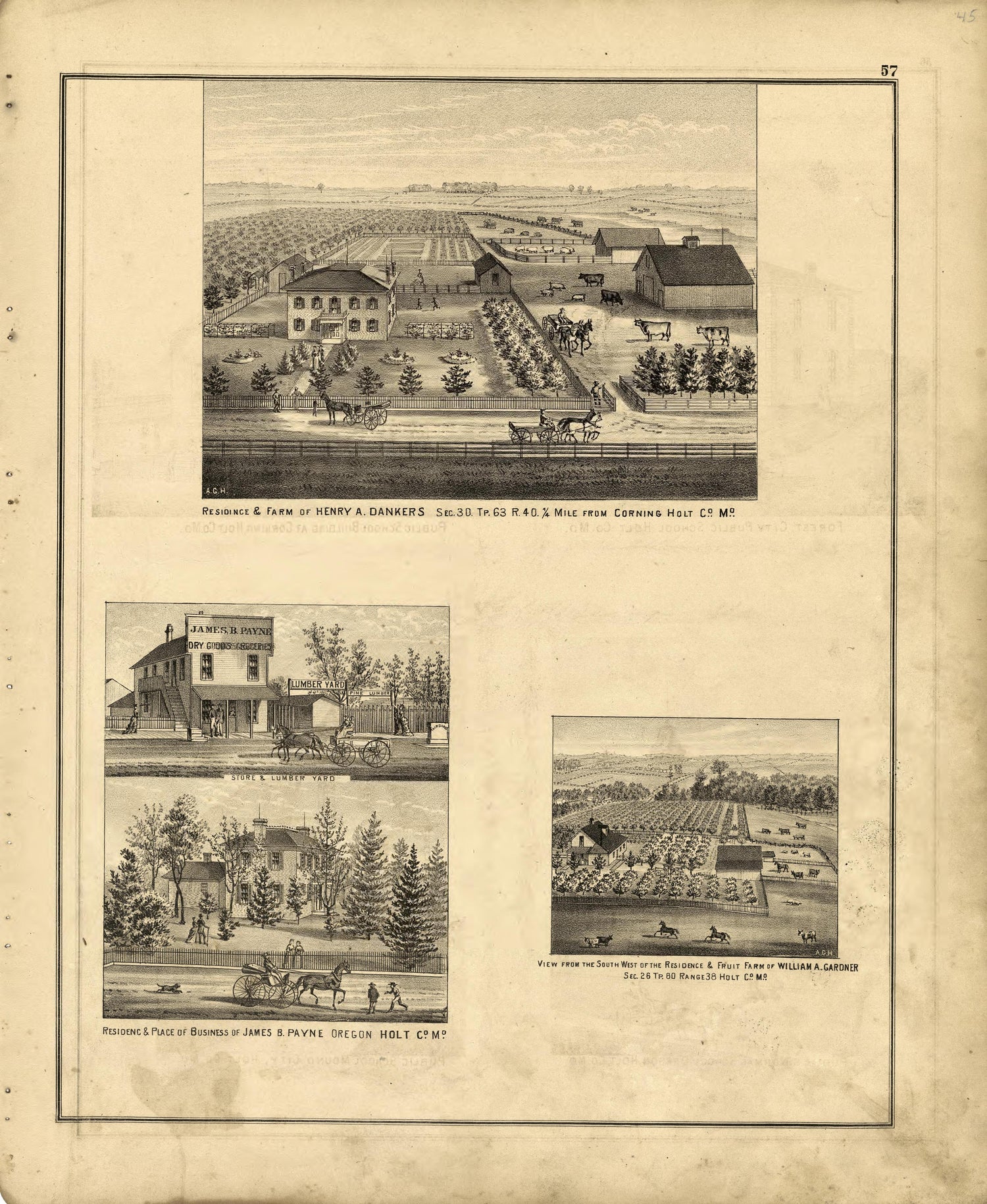 Residences, Farms, Views from an Illustrated Historical Atlas Map of Holt County, Mo. : Carefully Compiled from Personal Examinations and Surveys 1877 by Relic Map Company
