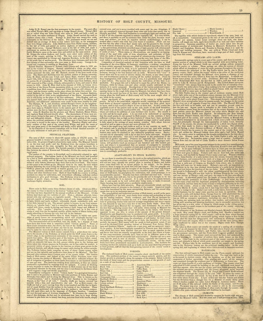 This old map of Holt County, Missouri,  was created by Brink, McDonough &amp; Co in 1877